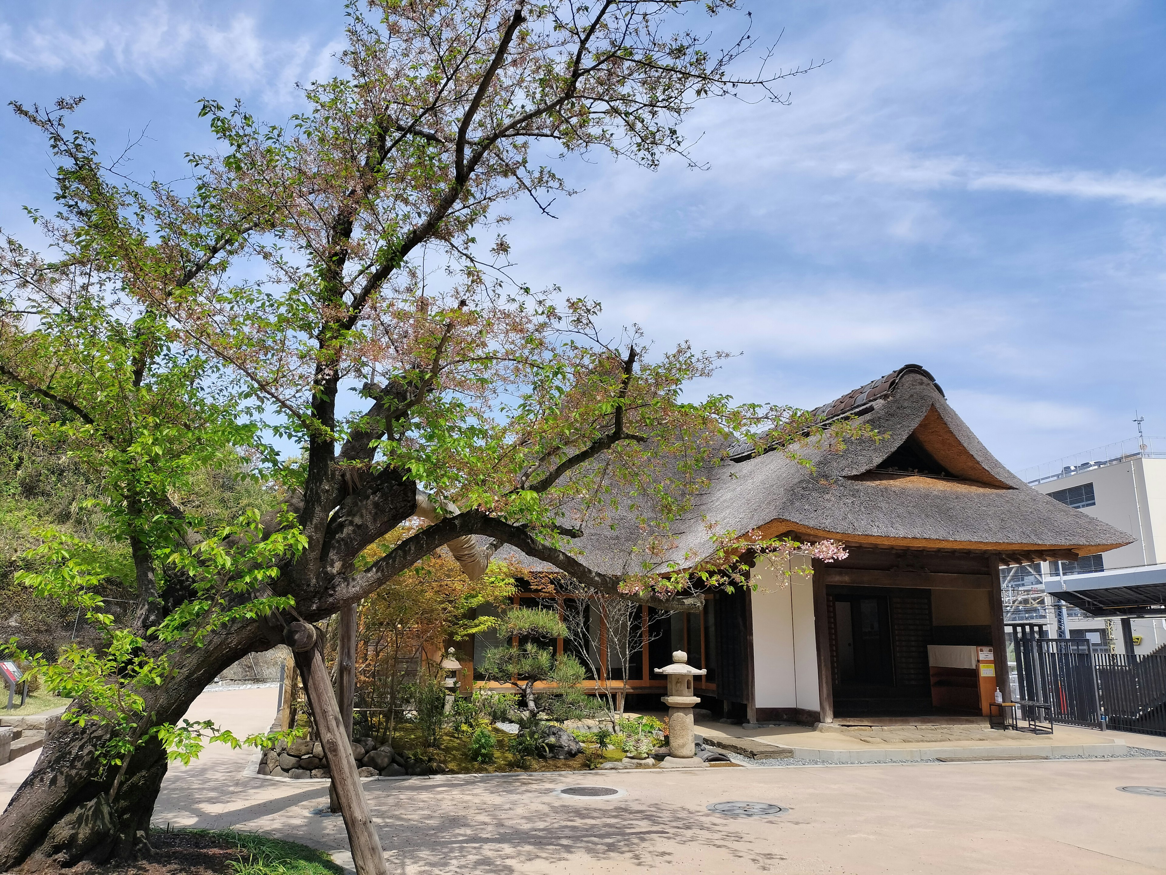 Scenic view of a traditional building with a curved roof surrounded by greenery