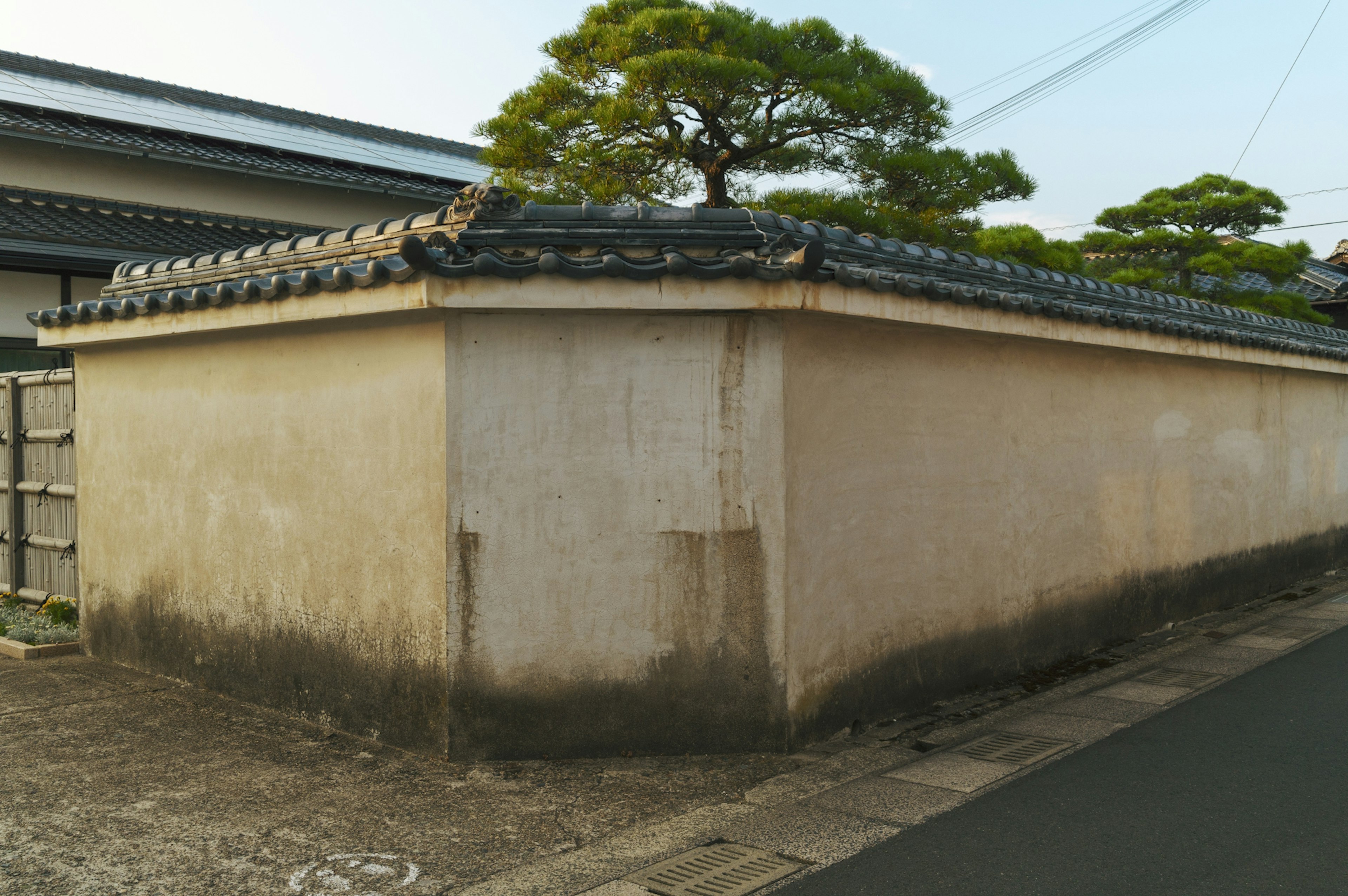 Dinding Jepang tradisional dengan pohon pinus