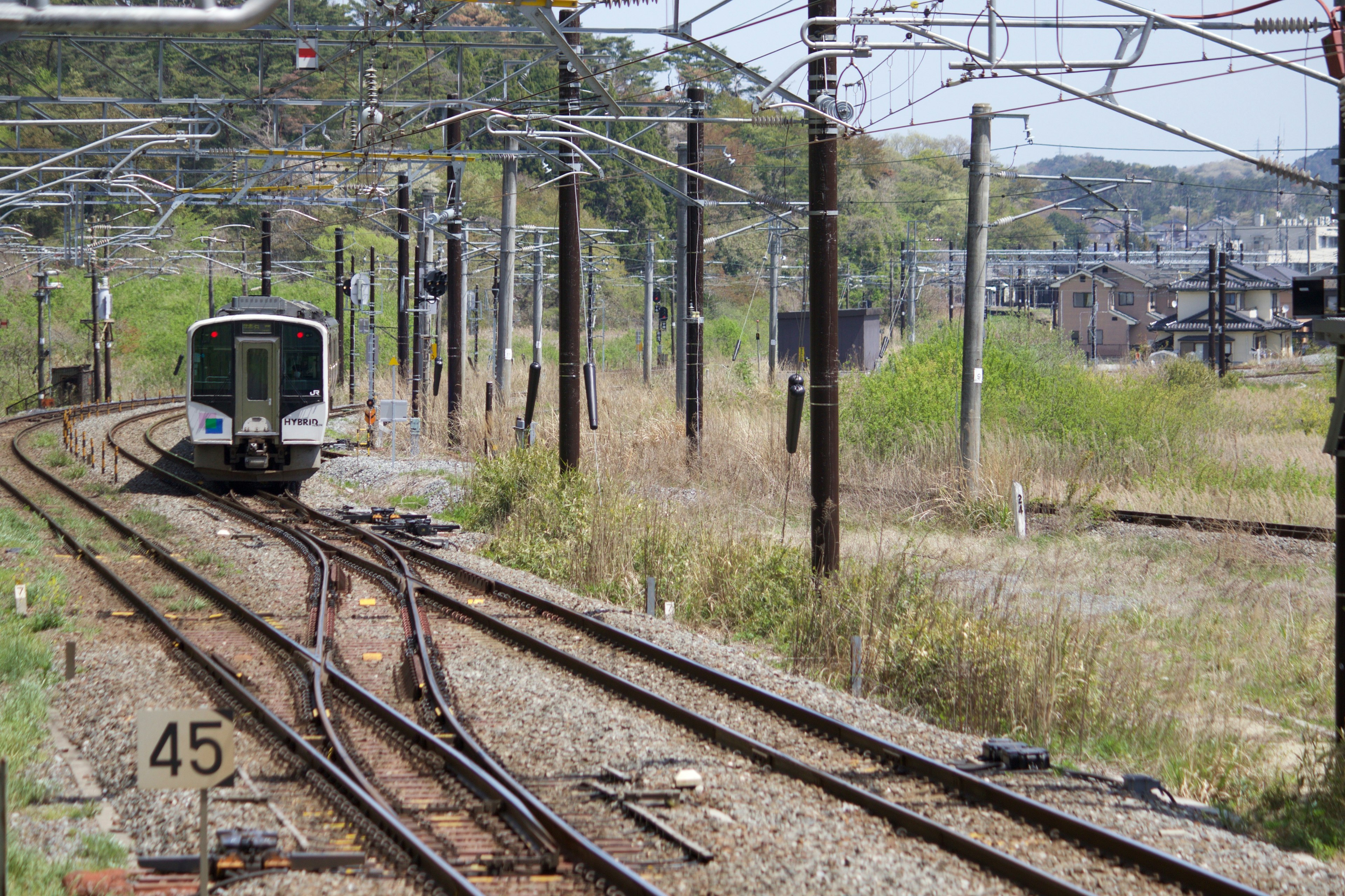 Train arrivant sur des voies ferrées entourées d'herbe et de poteaux utilitaires