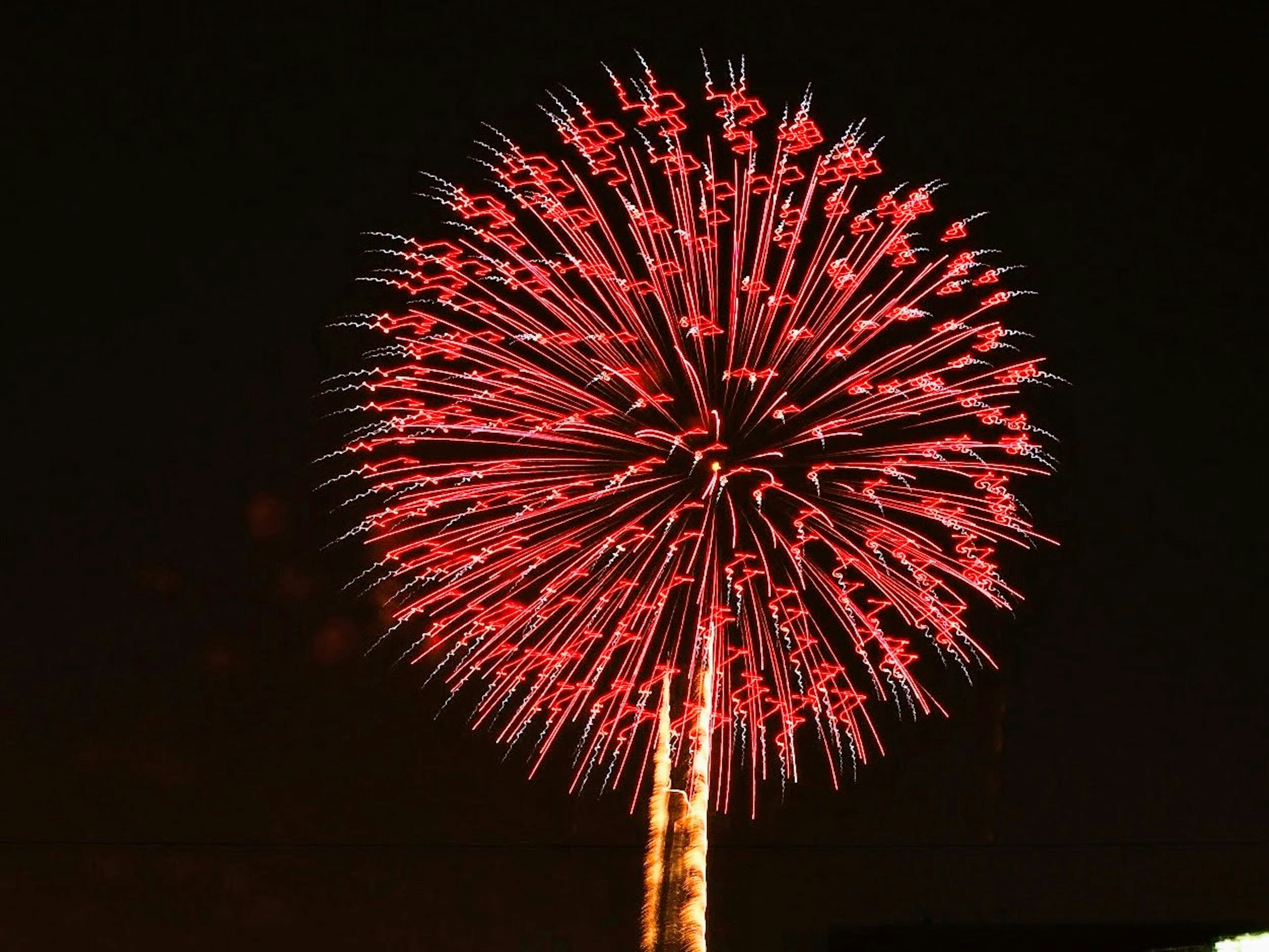 赤い花火が夜空に広がる美しい光景