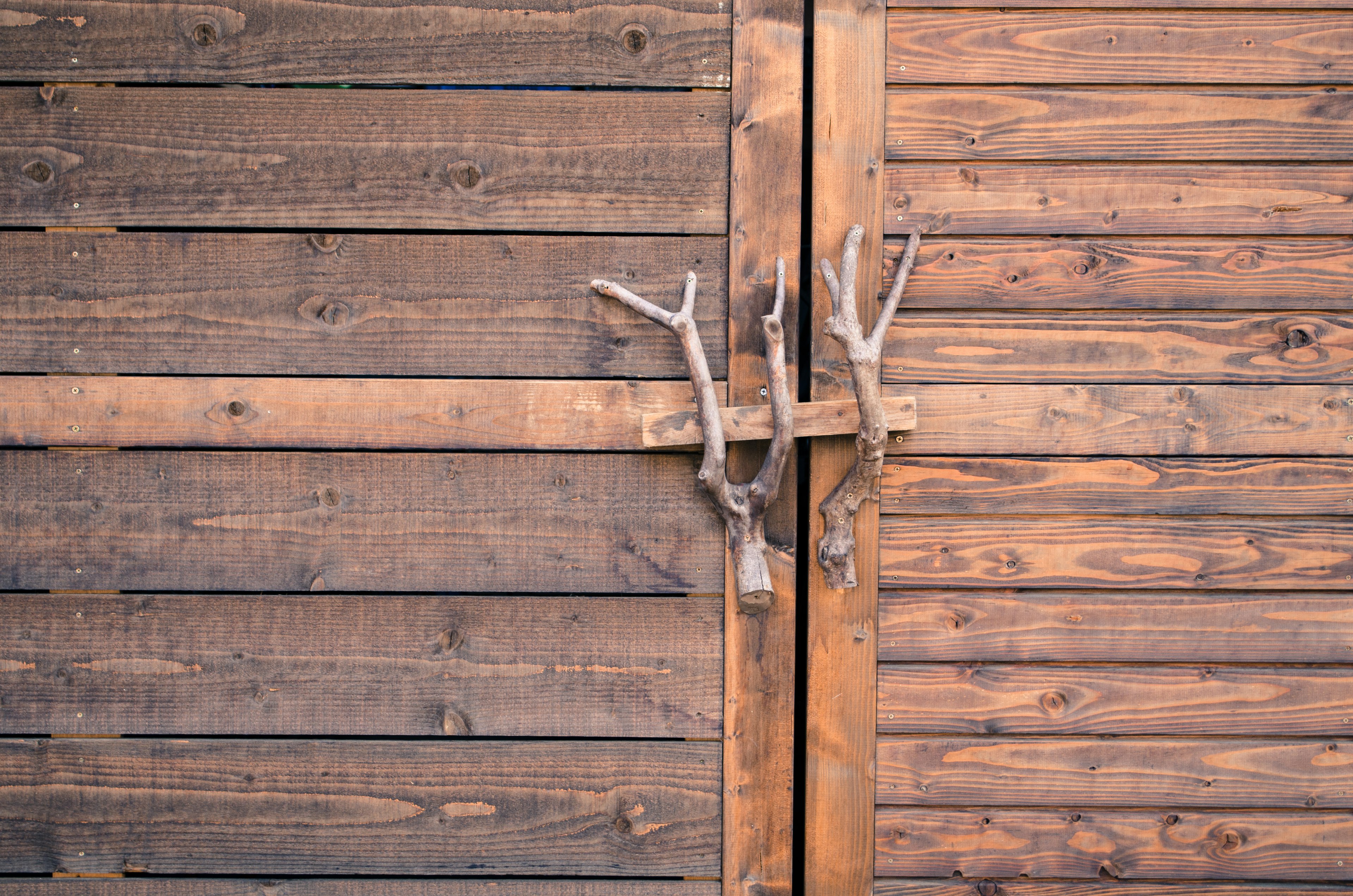 Close-up of a wooden door with unique branch handles