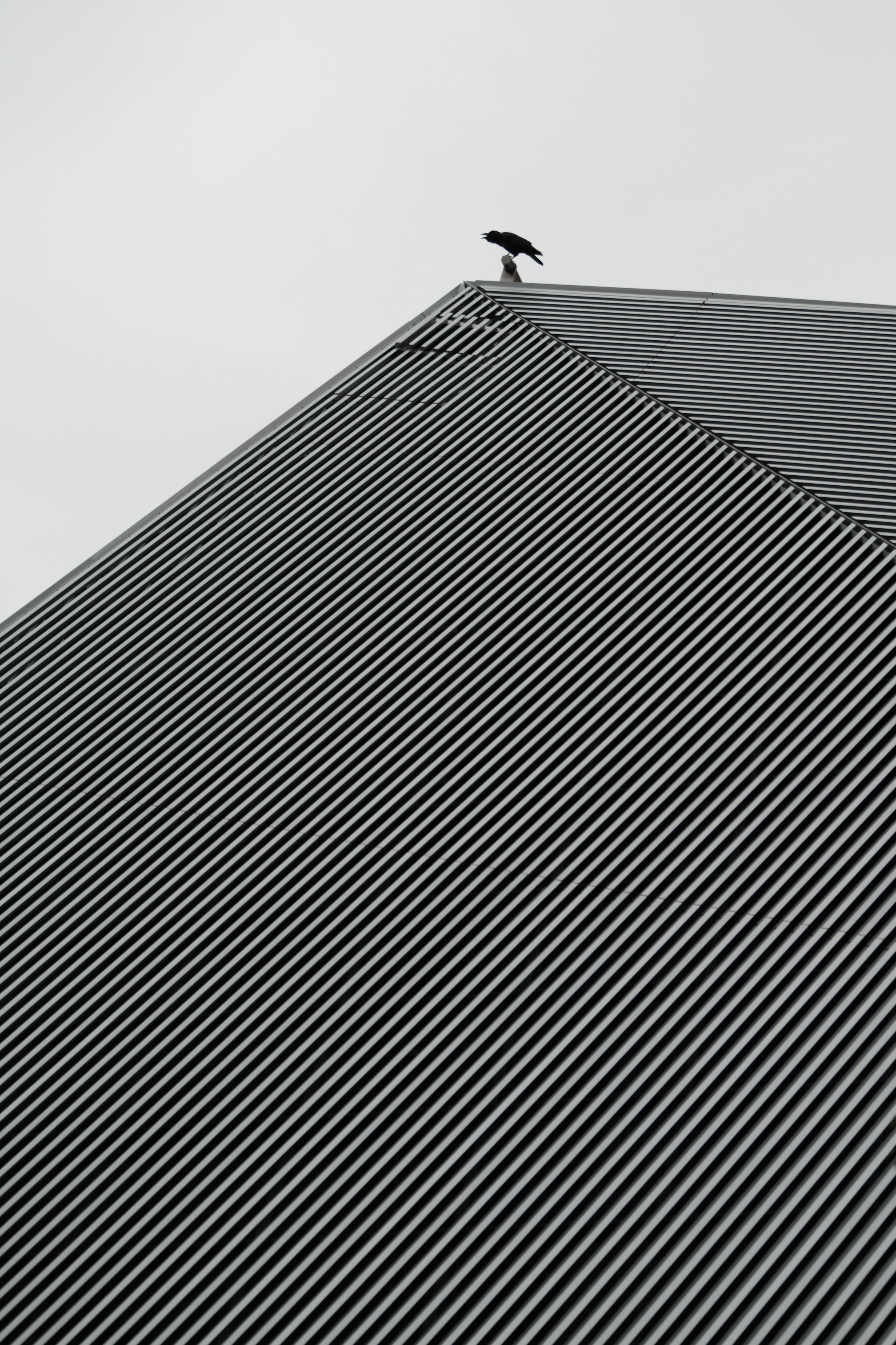 Black bird standing on a striped roof with a gray sky