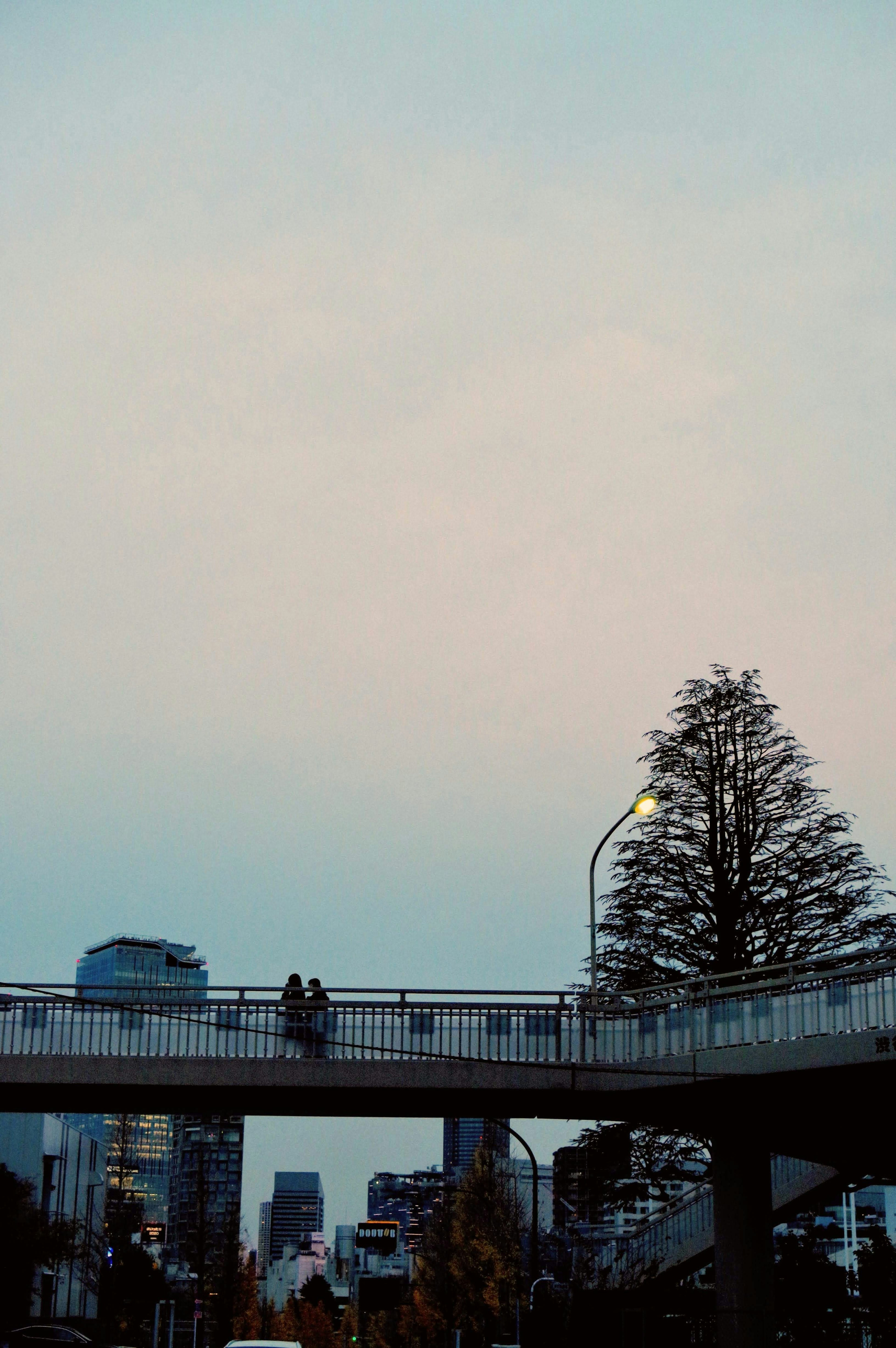 Couple standing on a bridge at dusk with city skyline