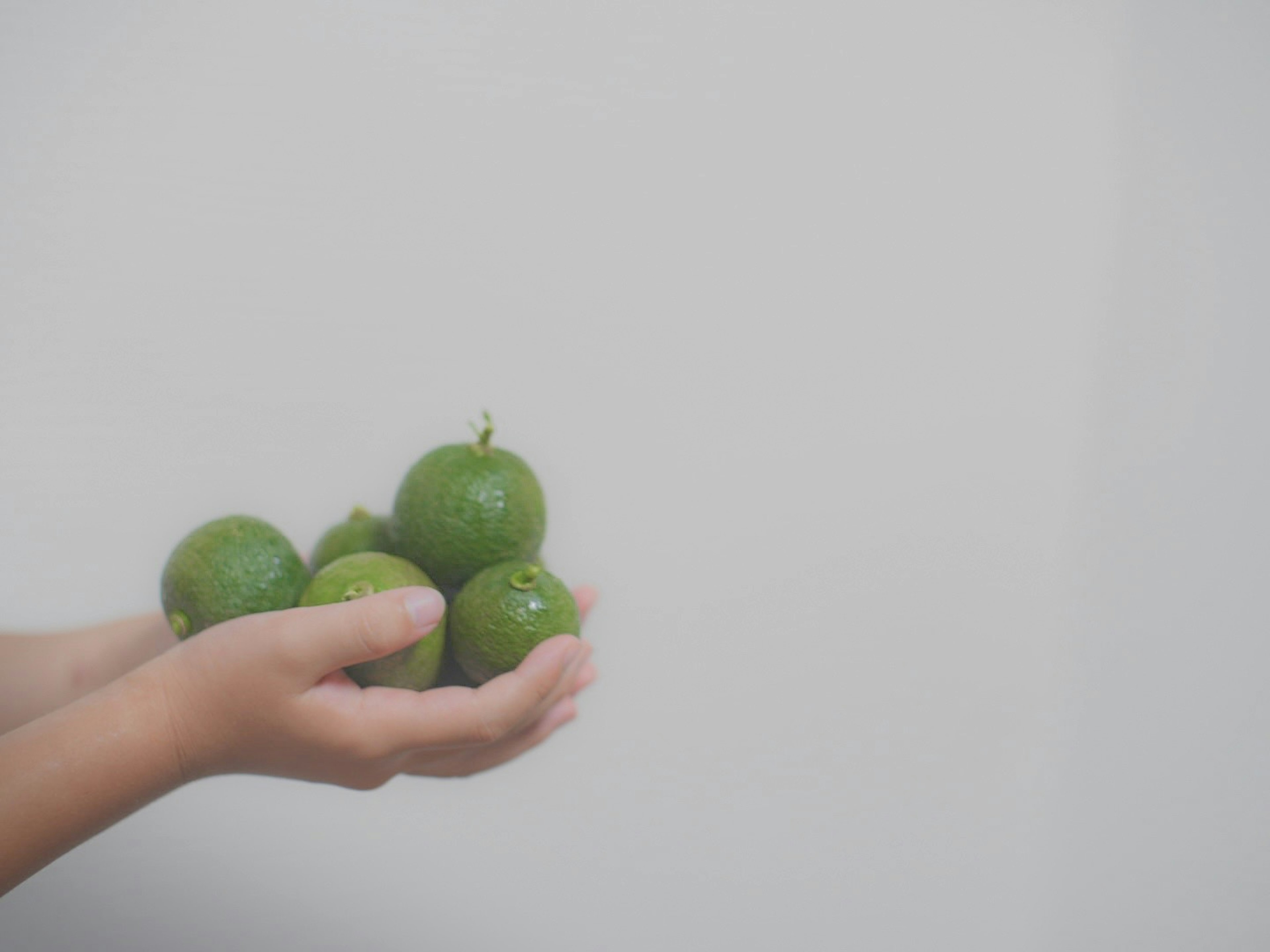 Group of fresh limes held in hands against a simple background