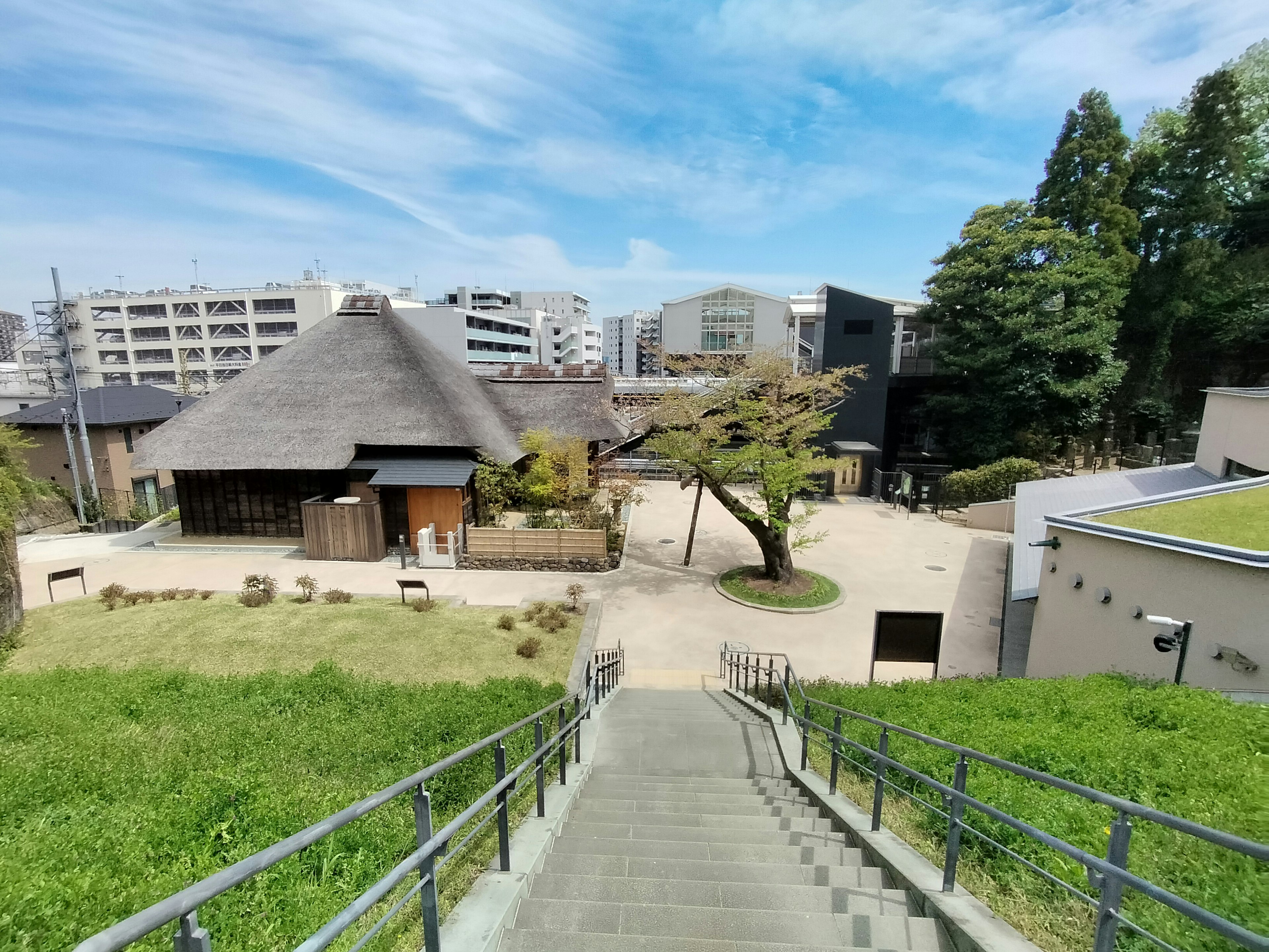 Vista escénica con escaleras que llevan a un edificio japonés tradicional rodeado de vegetación