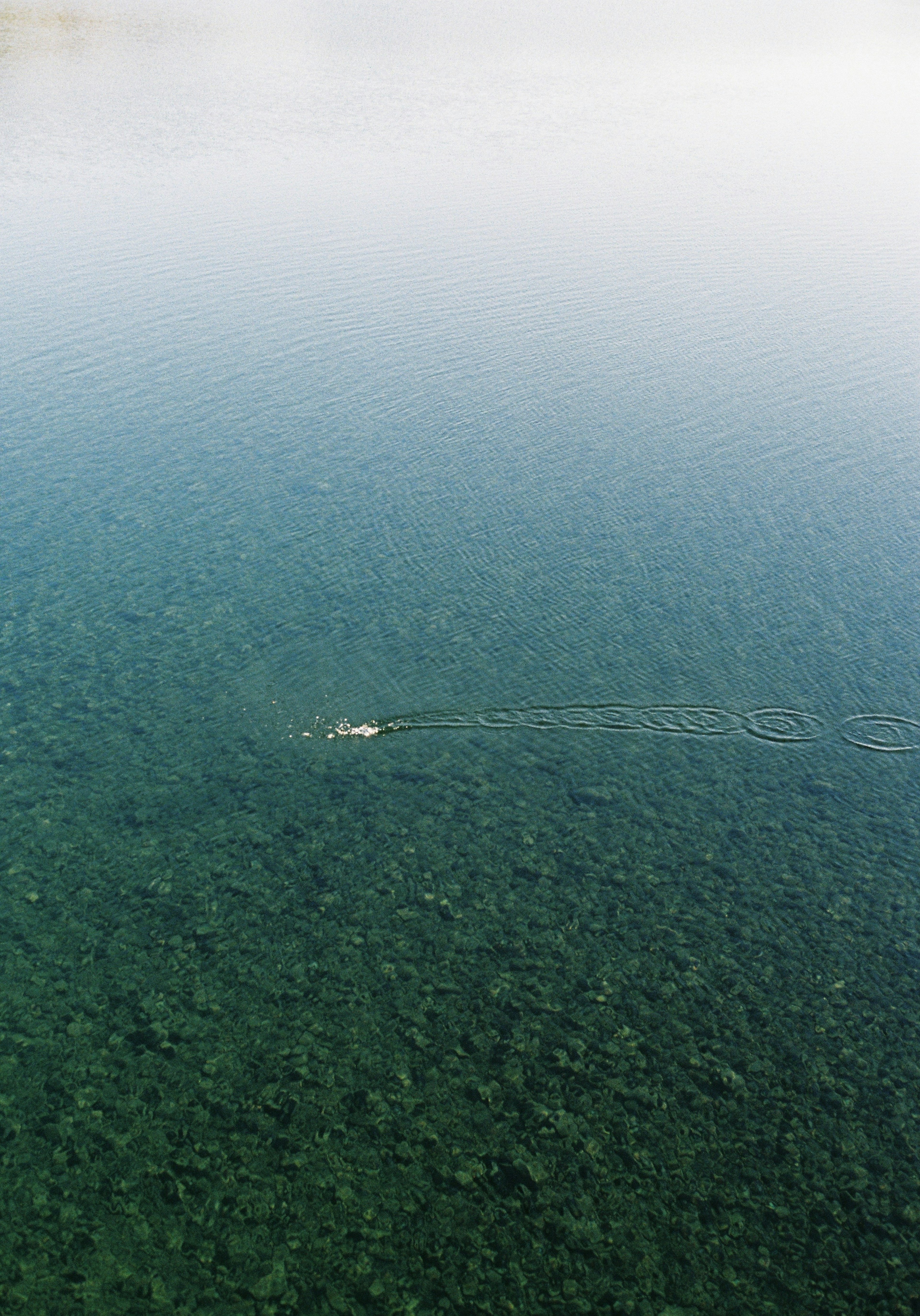 Una piccola barca che scivola su una superficie d'acqua chiara