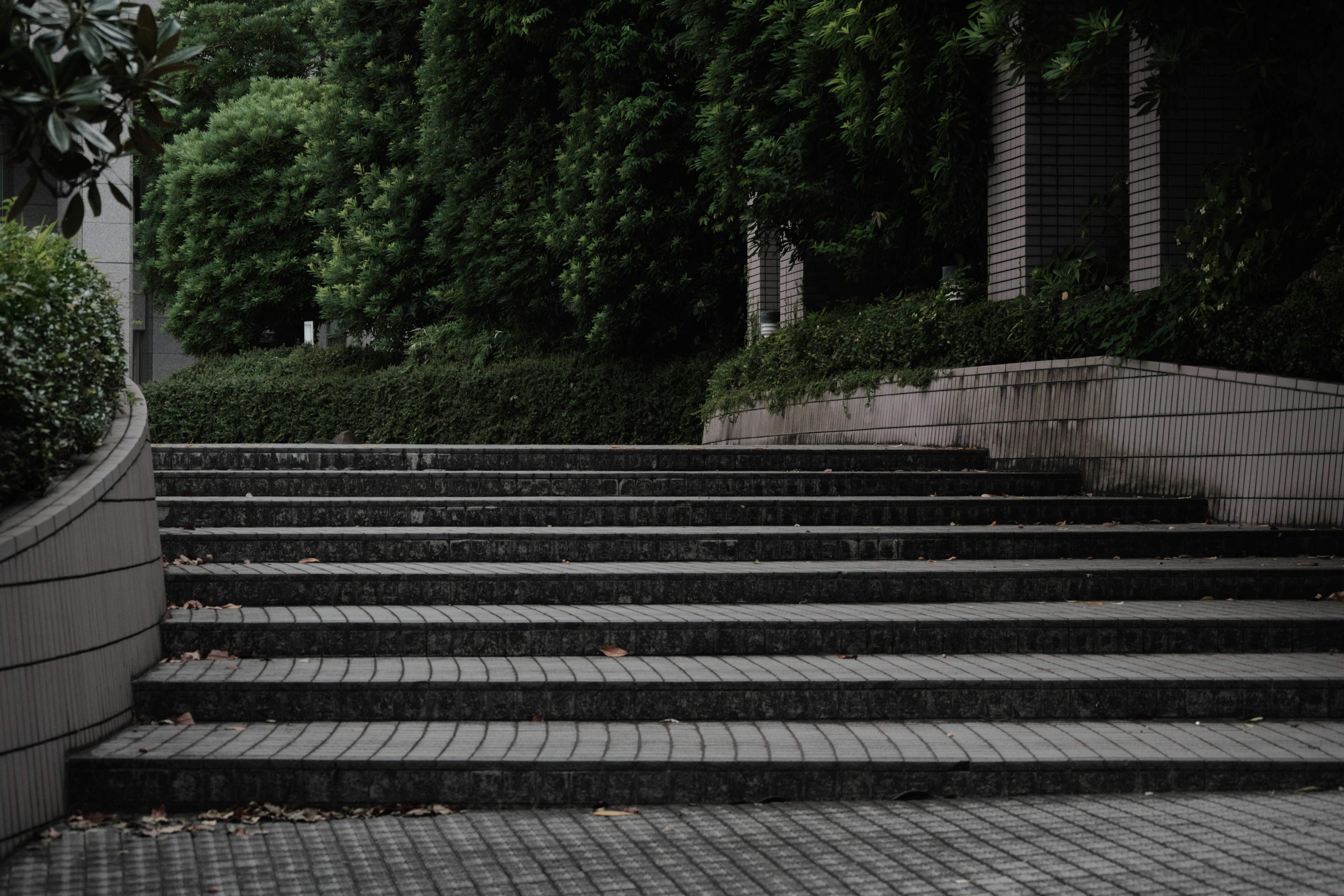 Image of stone steps surrounded by greenery featuring a dim atmosphere and a tranquil setting