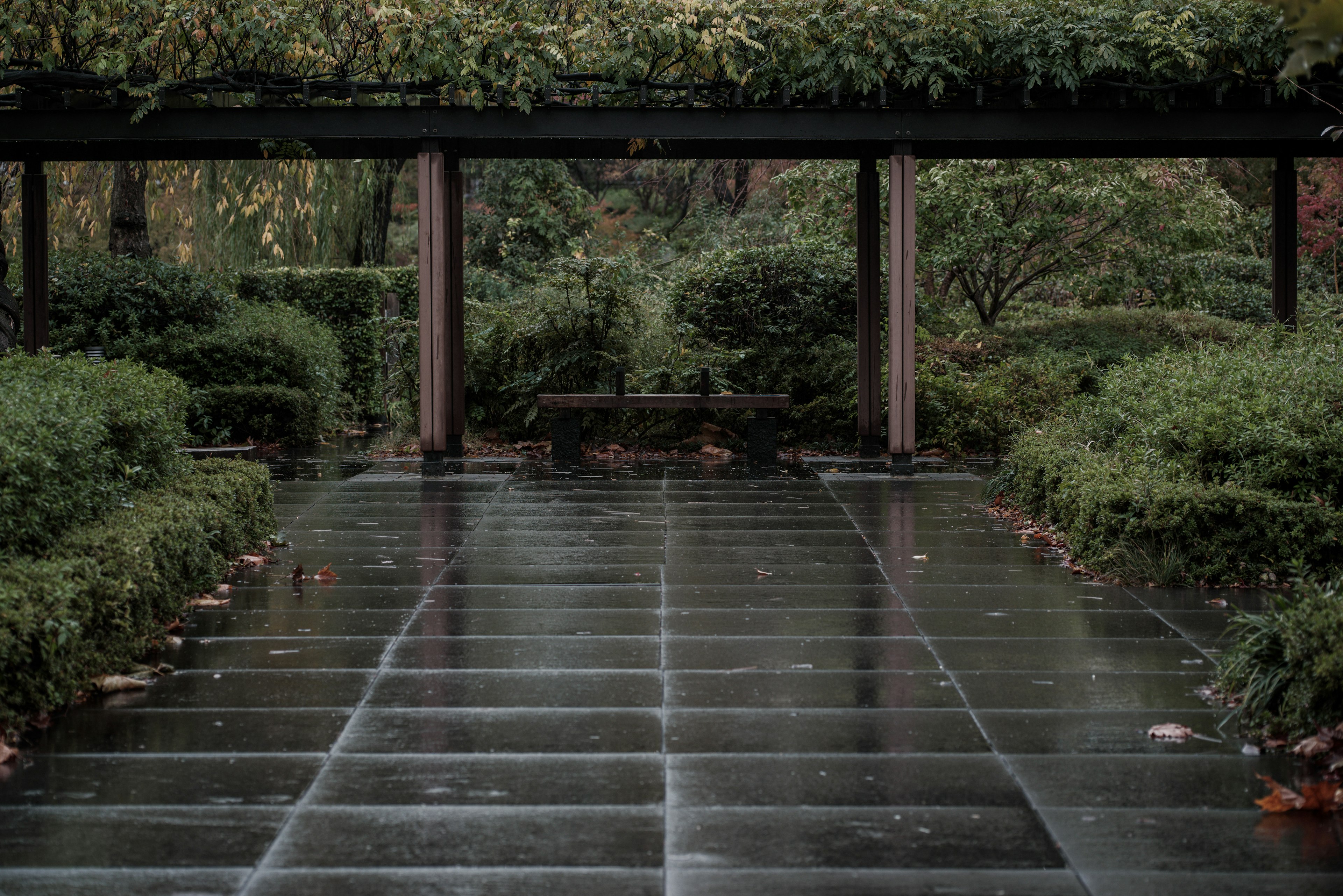 静かな庭園の小道、緑の植栽と雨に濡れた石畳、木製のアーチが特徴