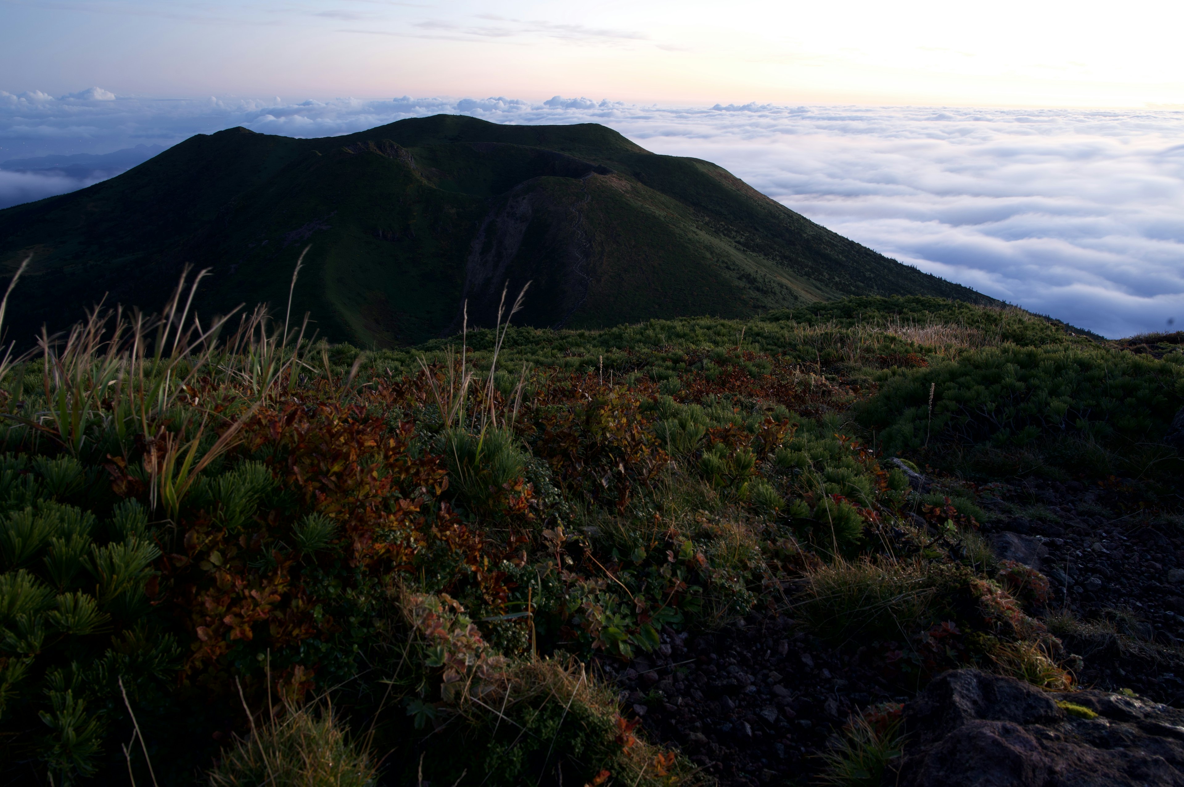 雲海の上にそびえる山々の風景と草原の詳細