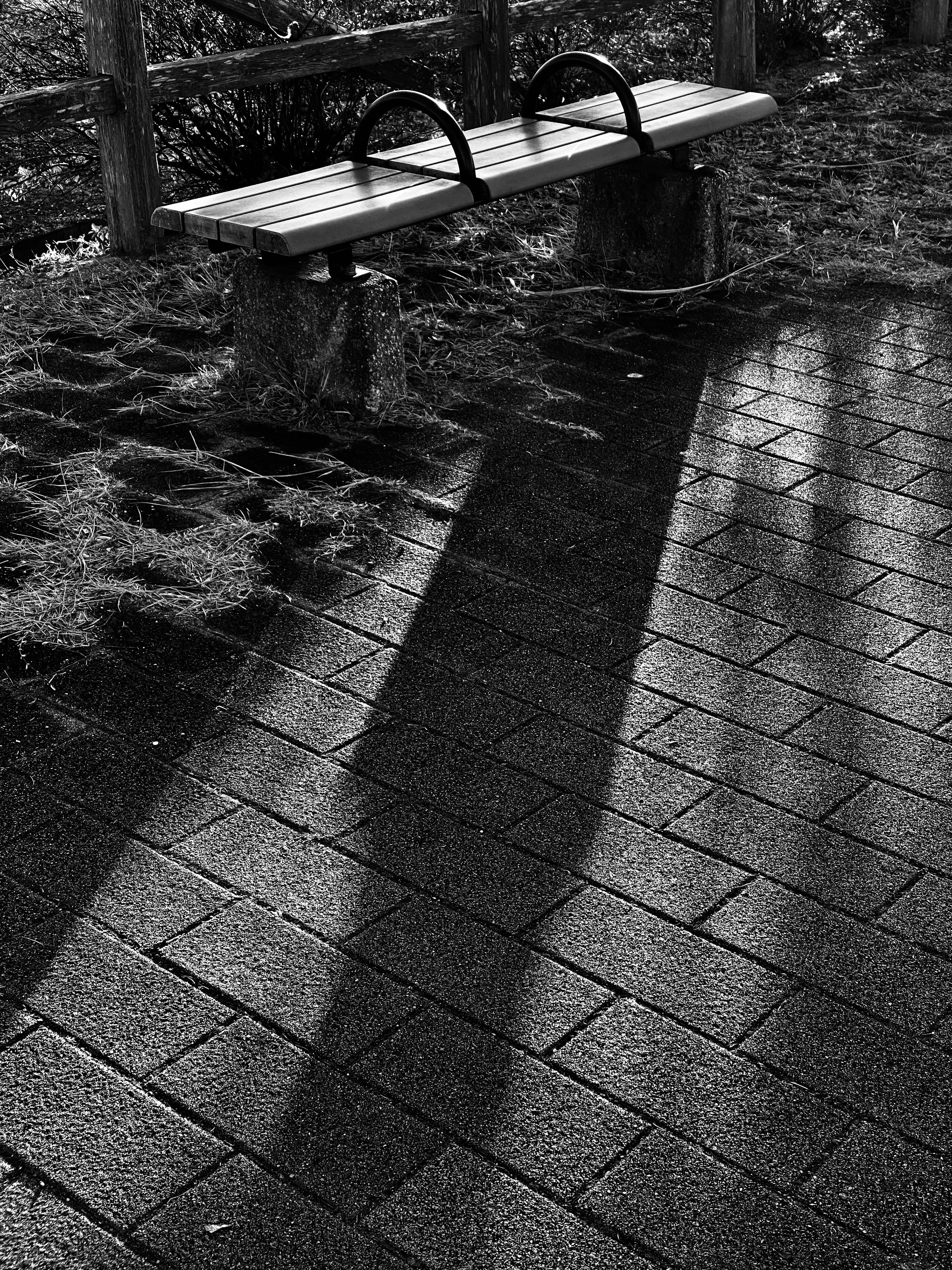 Black and white image of a park scene featuring a bench and its shadow