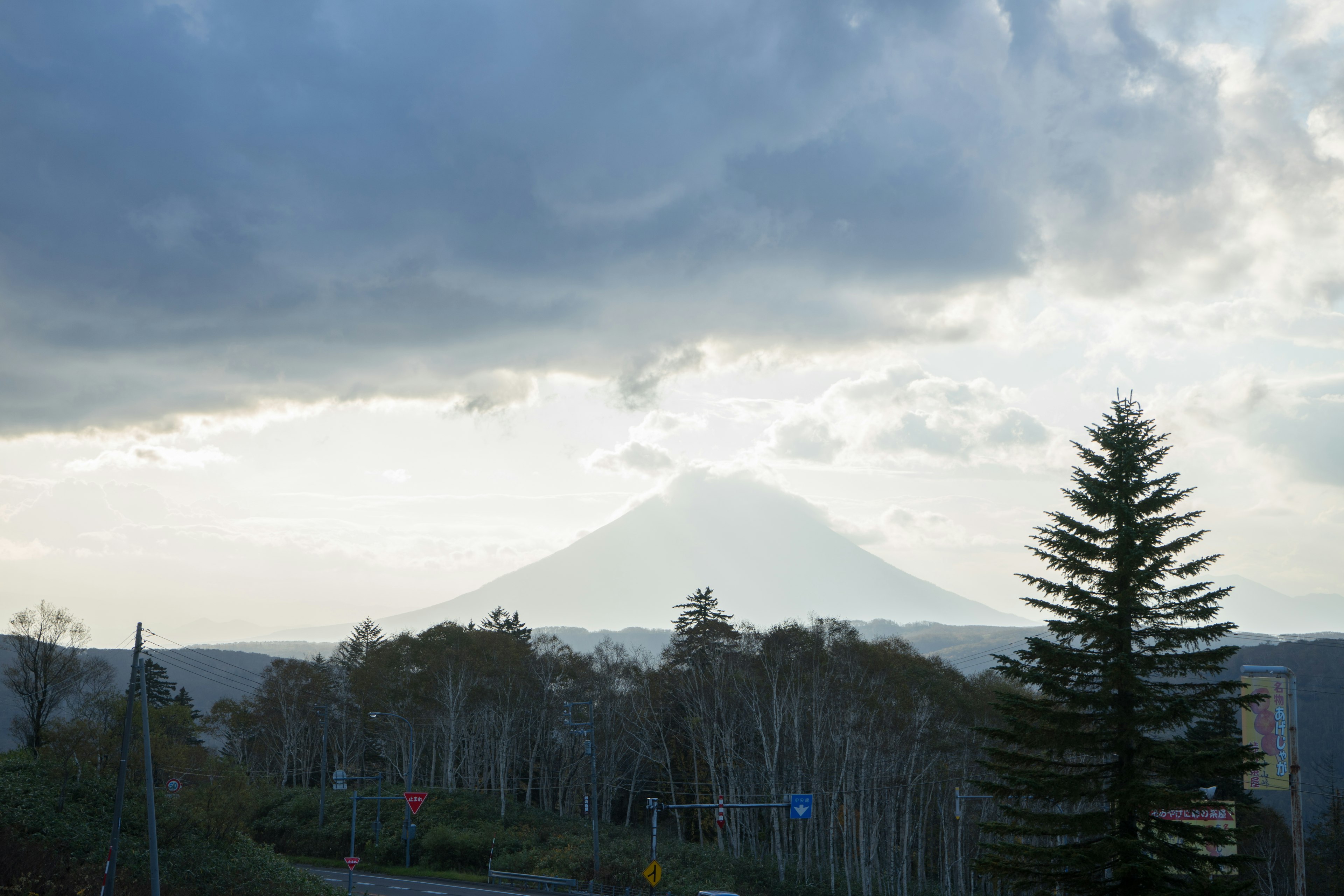 Der von Wolken verhüllte Fuji mit umliegenden Bäumen