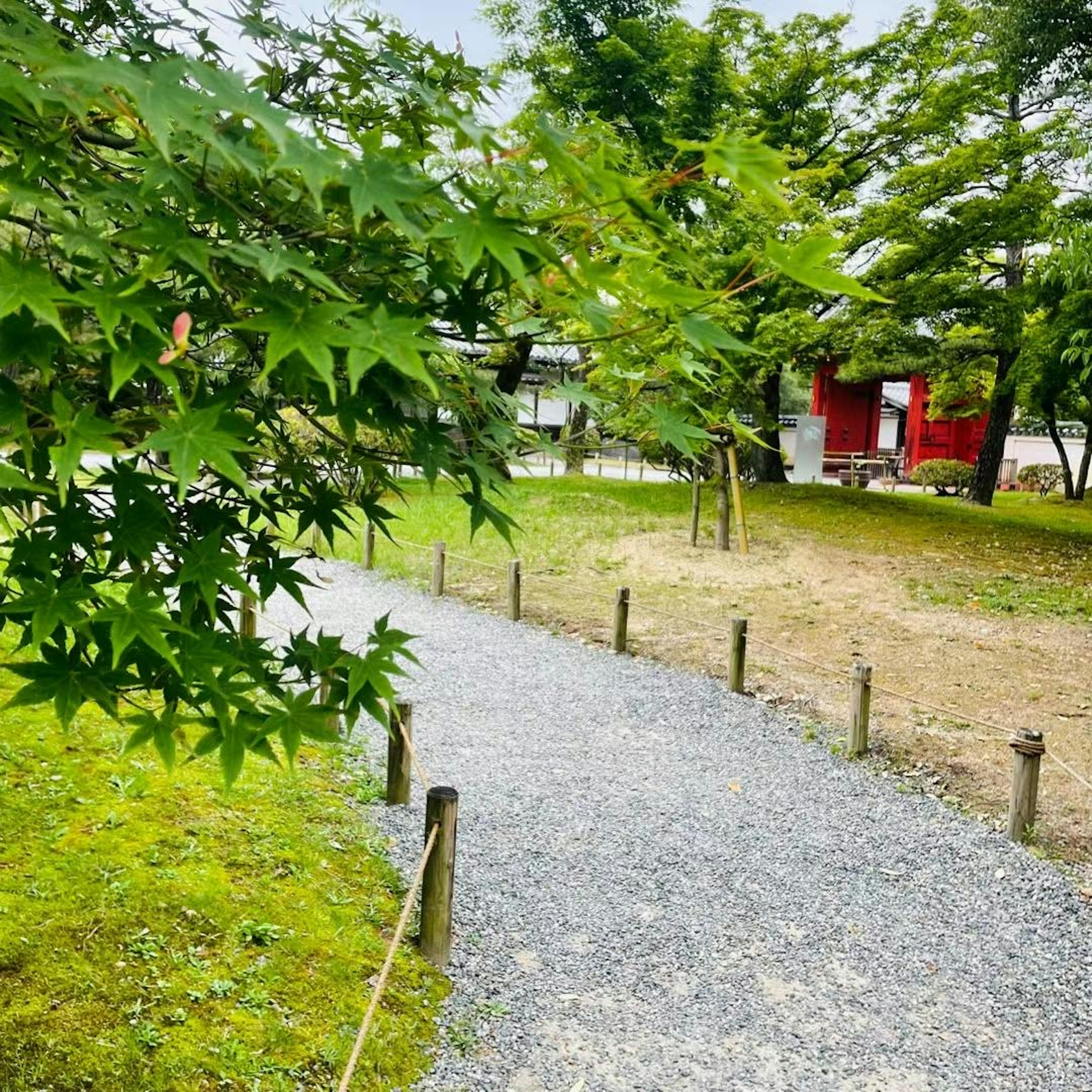 Pathway surrounded by green trees and a red shed