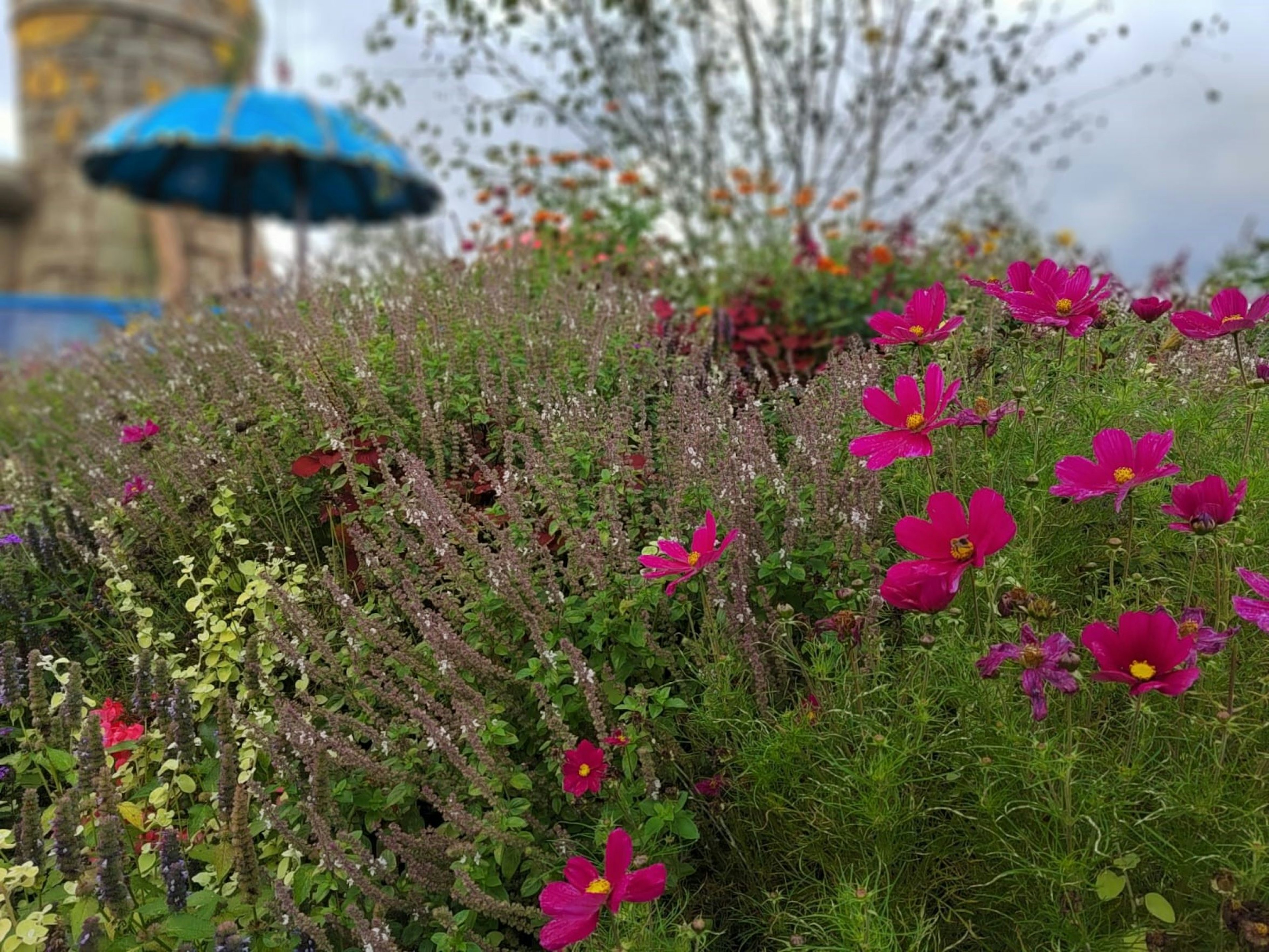 生動的花園場景，背景中有色彩繽紛的花朵和藍色傘