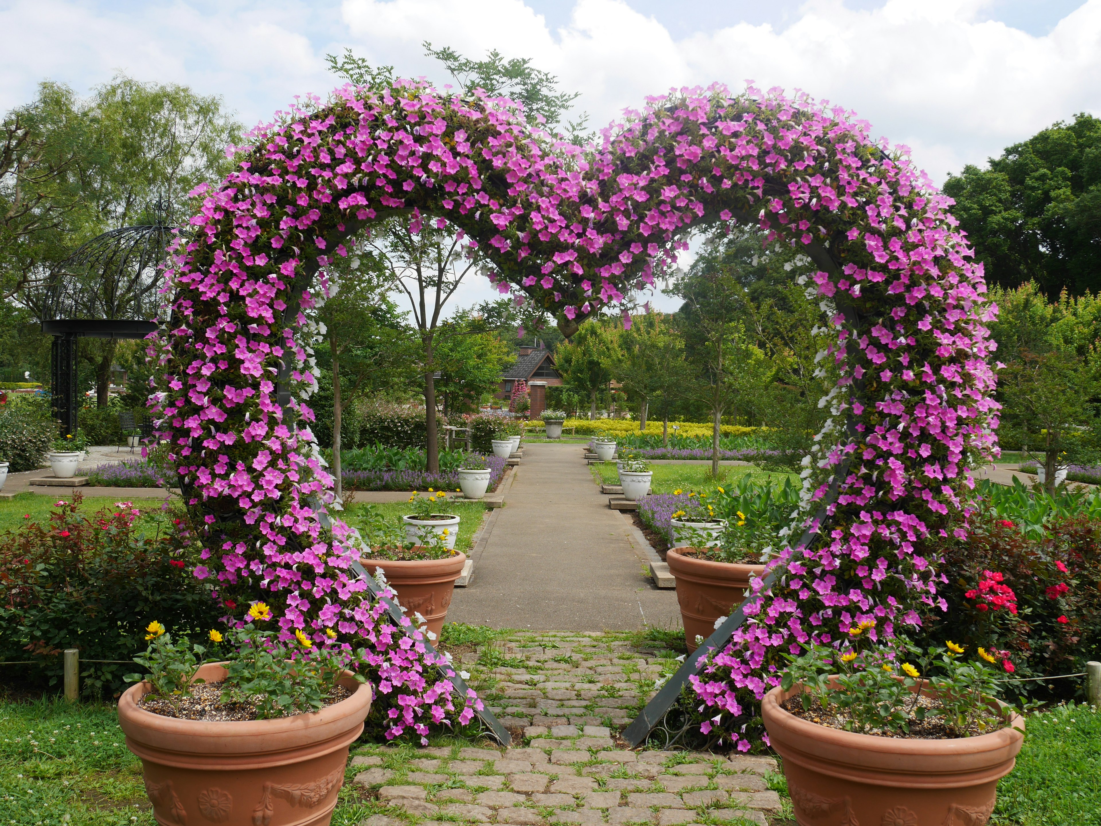 Arche de fleurs en forme de cœur avec une belle vue sur le jardin