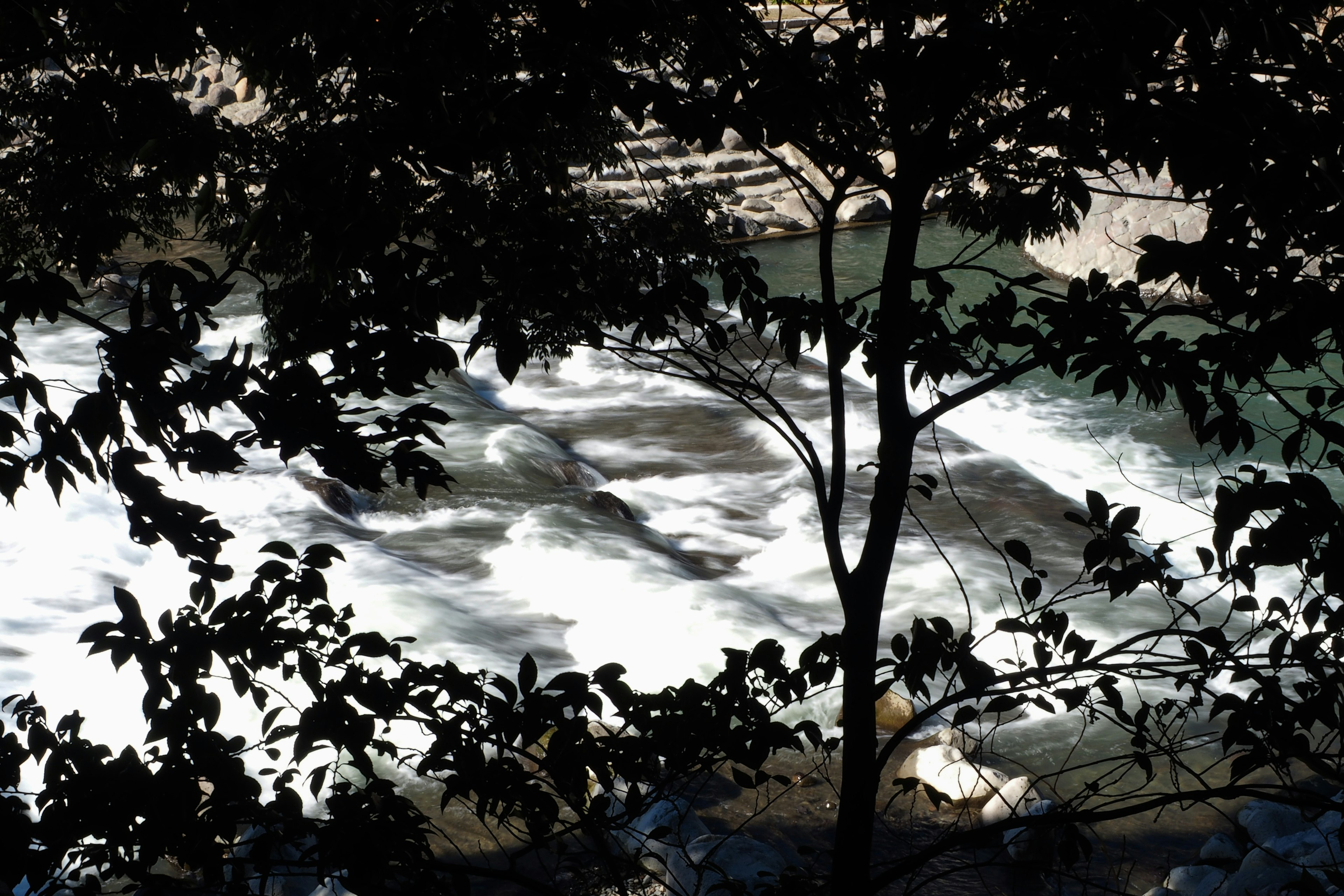 A view of a river flowing through trees casting shadows