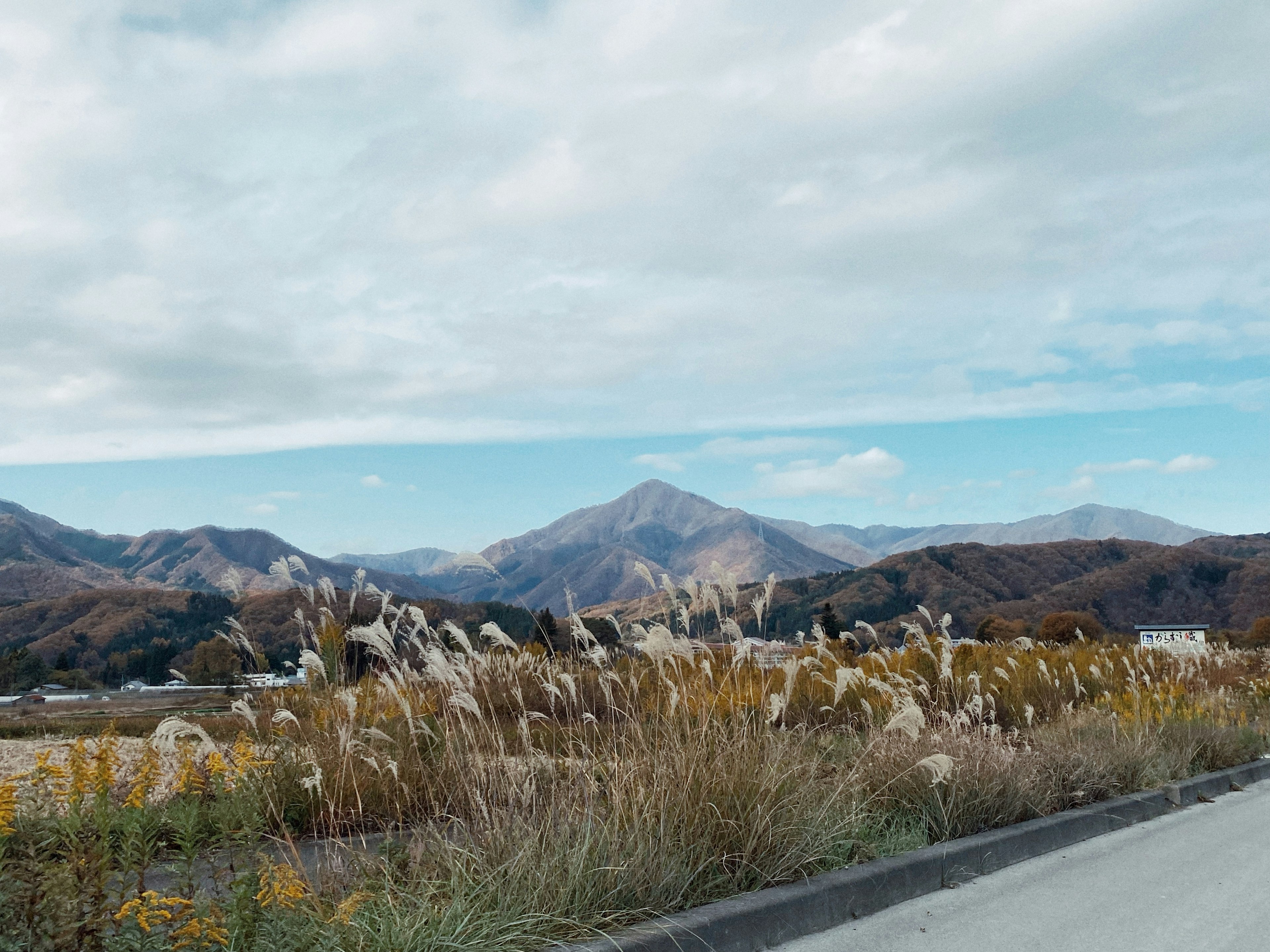 山々と空の青さを背景にした秋の風景草原