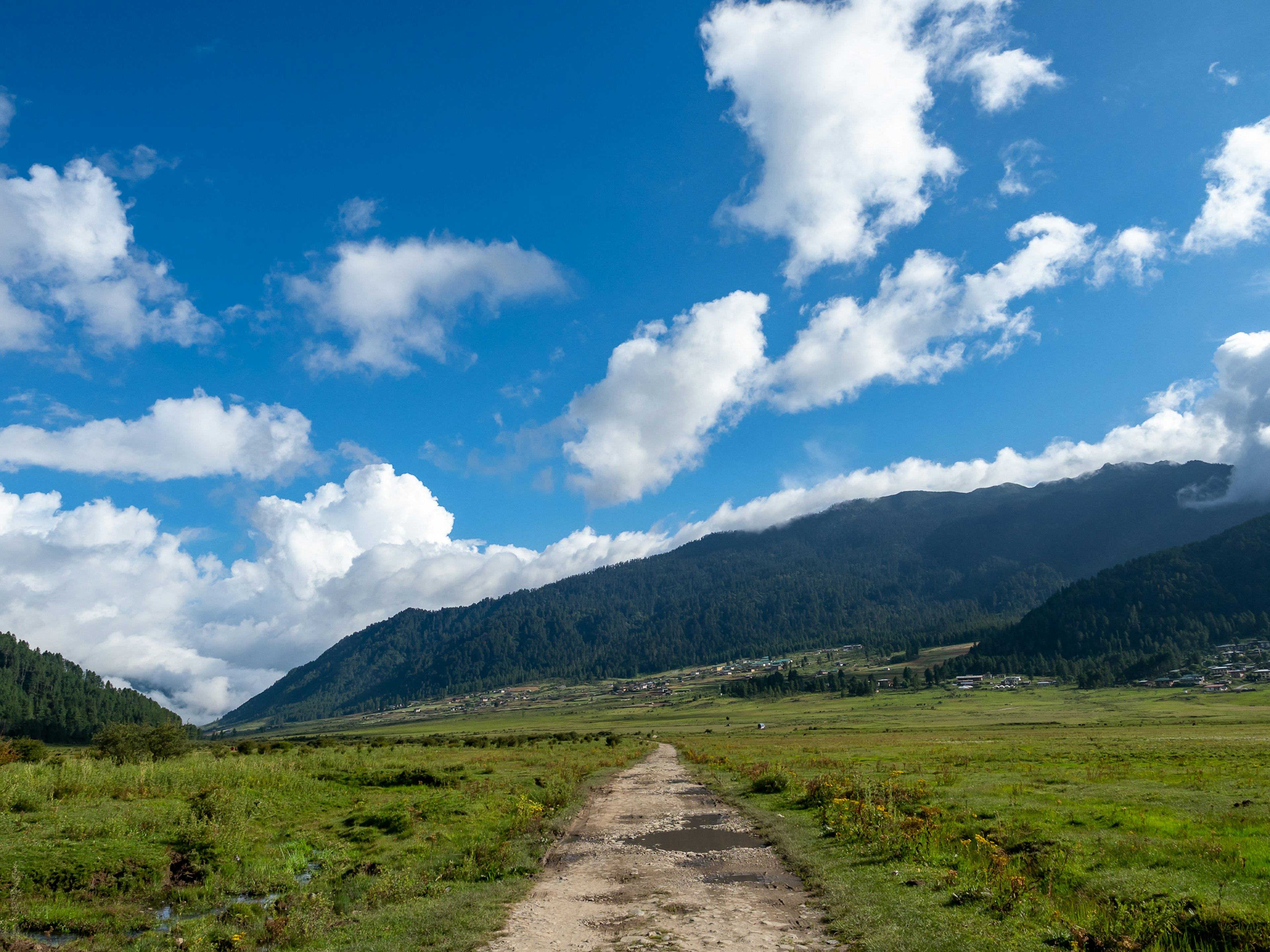 Ein malerischer Schotterweg durch eine grüne Wiese mit Bergen und blauem Himmel