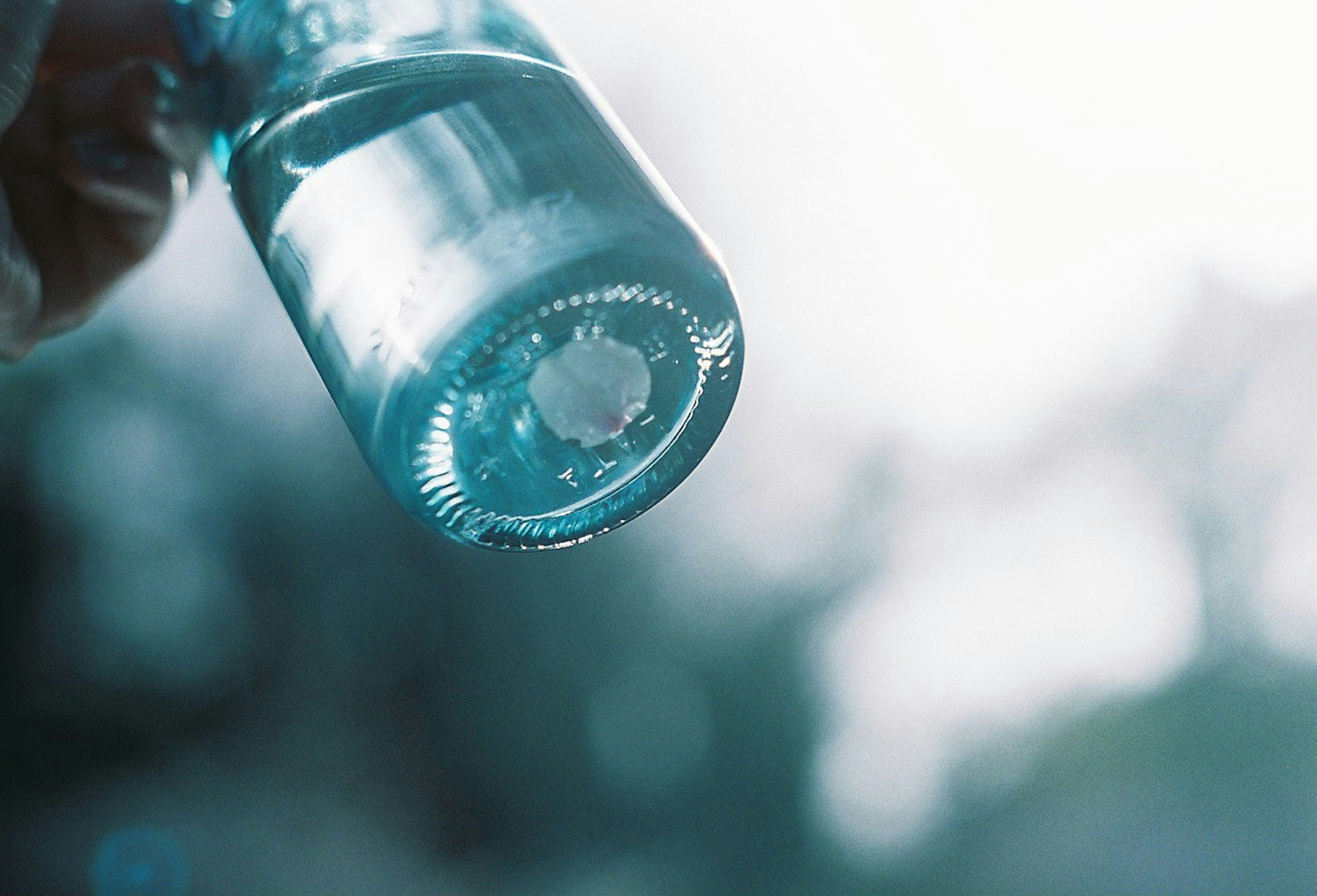 Close-up of a clear water bottle showing its base