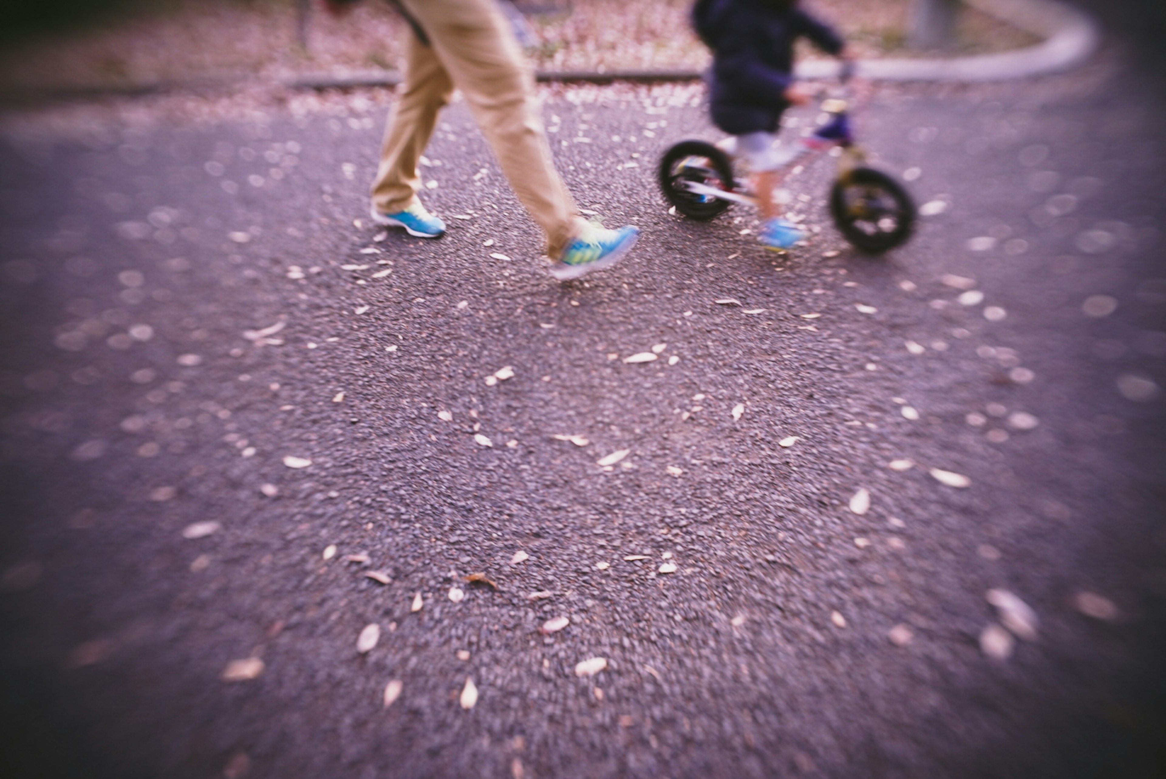 大人と子供が自転車を押している様子 落ち葉が散らばる舗装された道