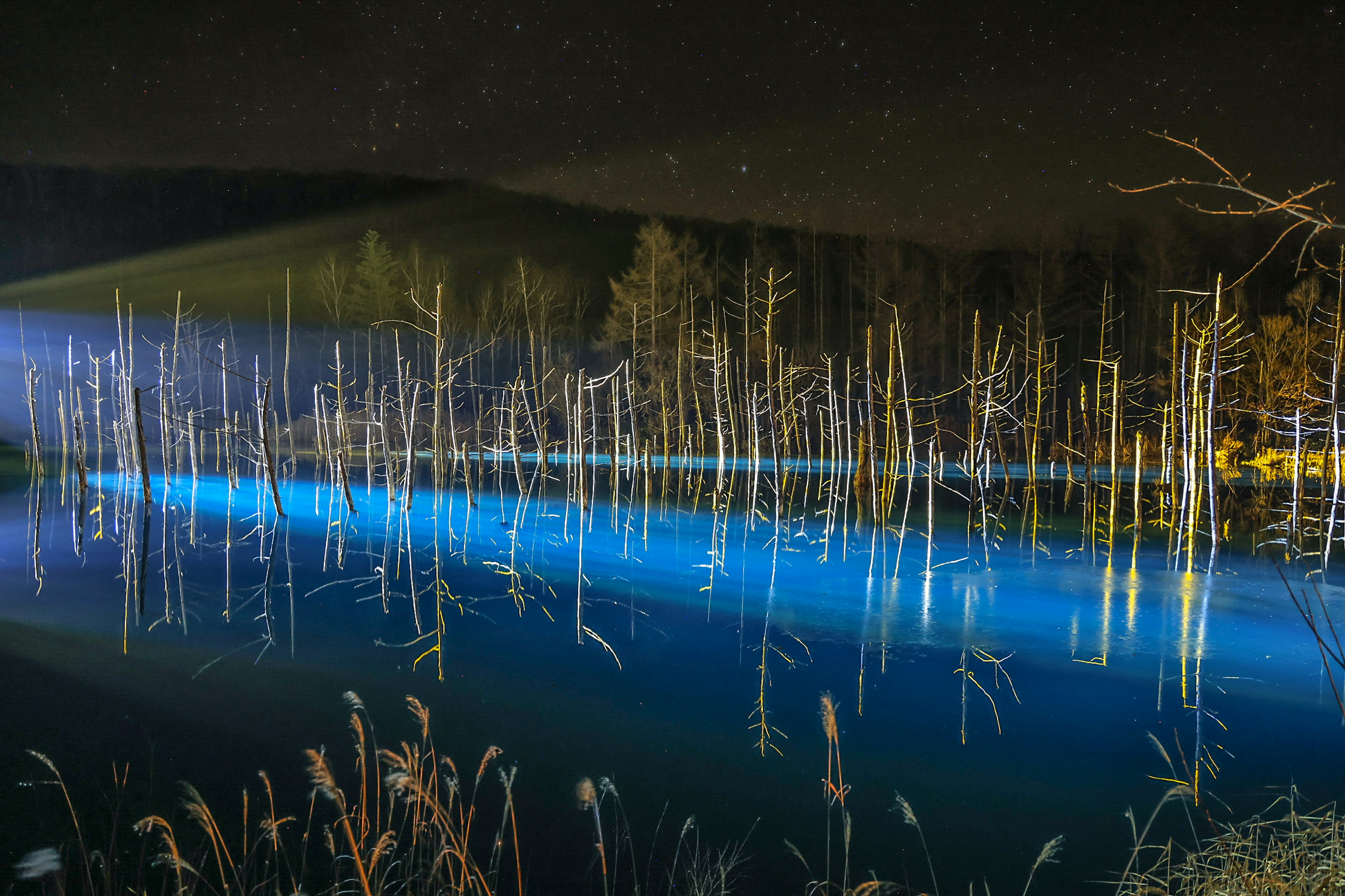 Riflessione di alberi illuminati da luce blu nell'acqua cielo notturno con stelle