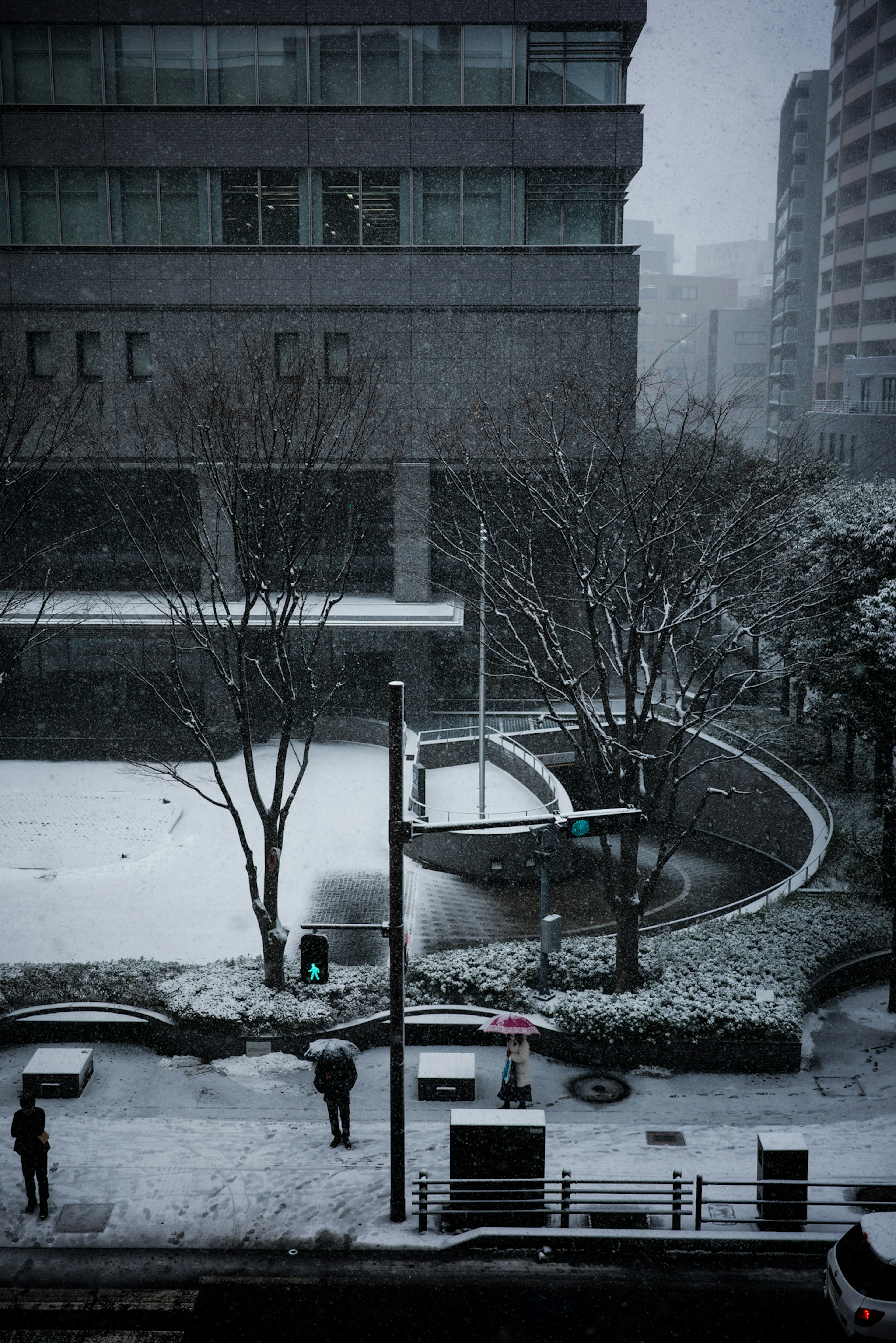 雪が降る都市の風景にある公園とビル