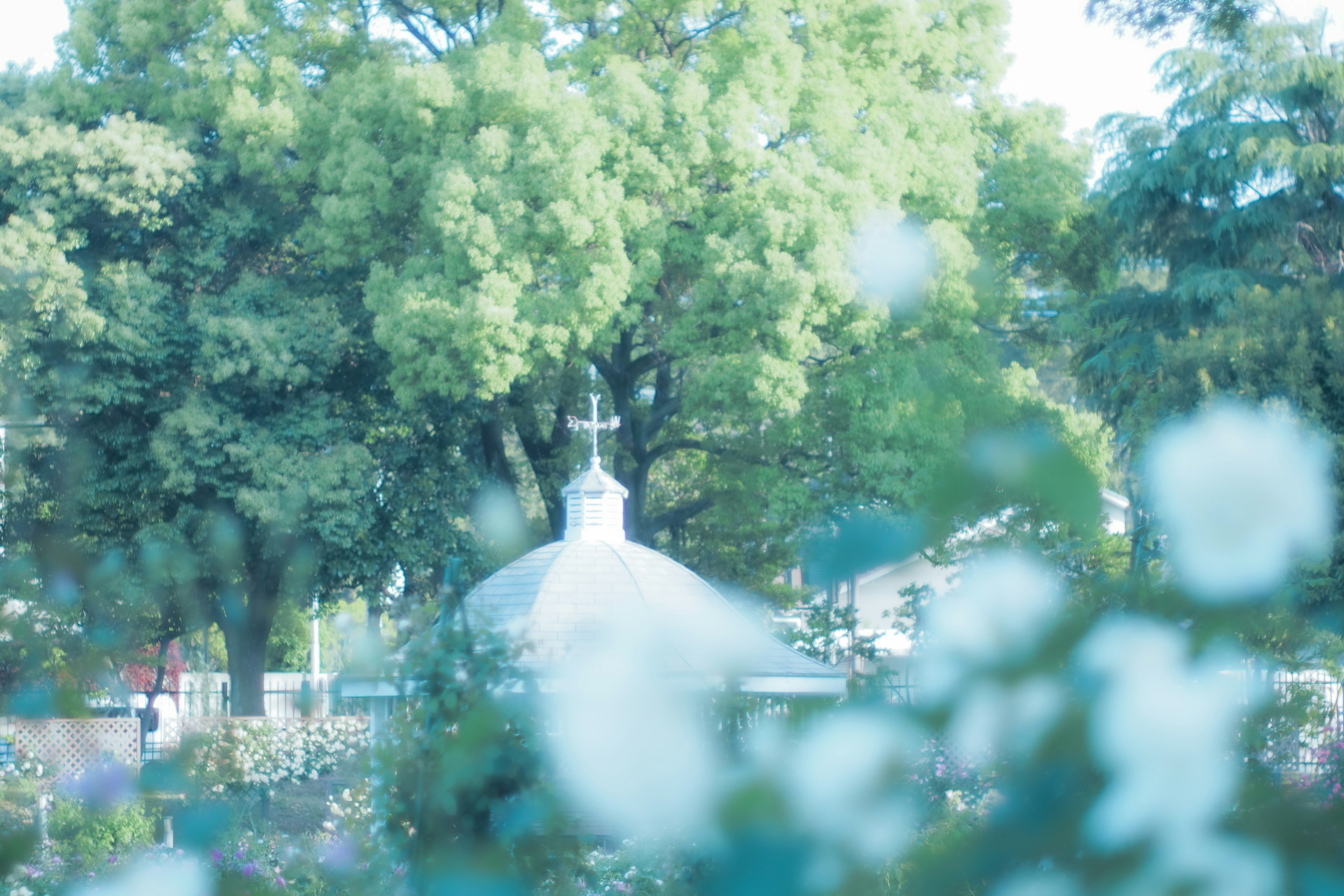 A small church dome with a cross surrounded by lush green trees