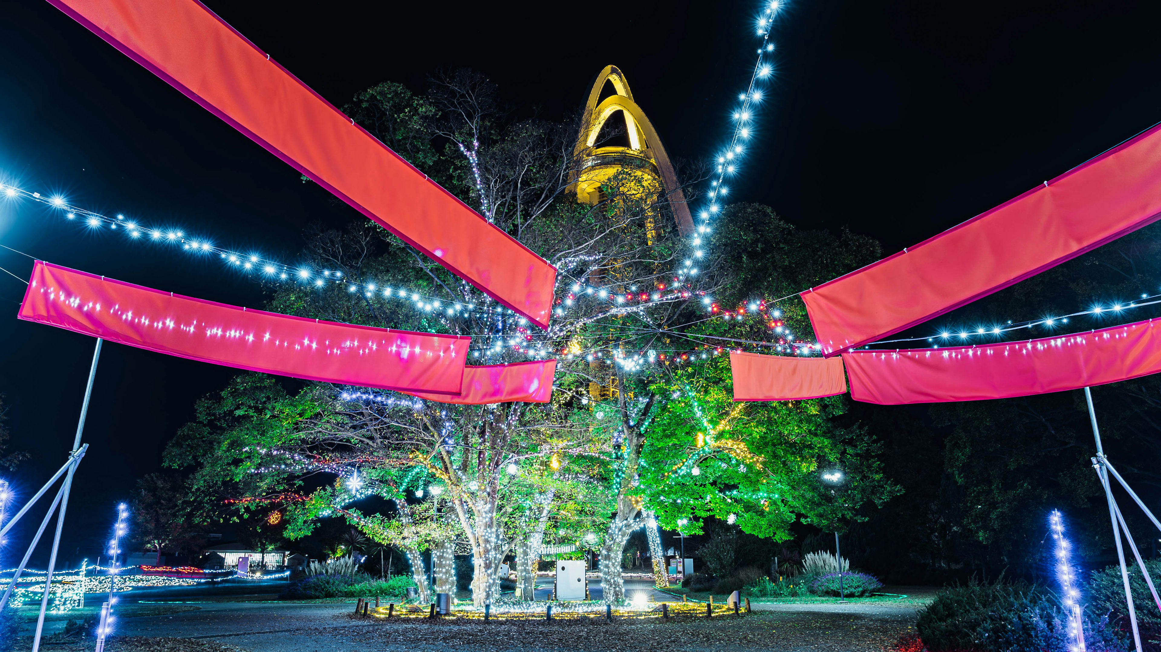 Scena notturna con albero decorato, striscioni rossi e luci