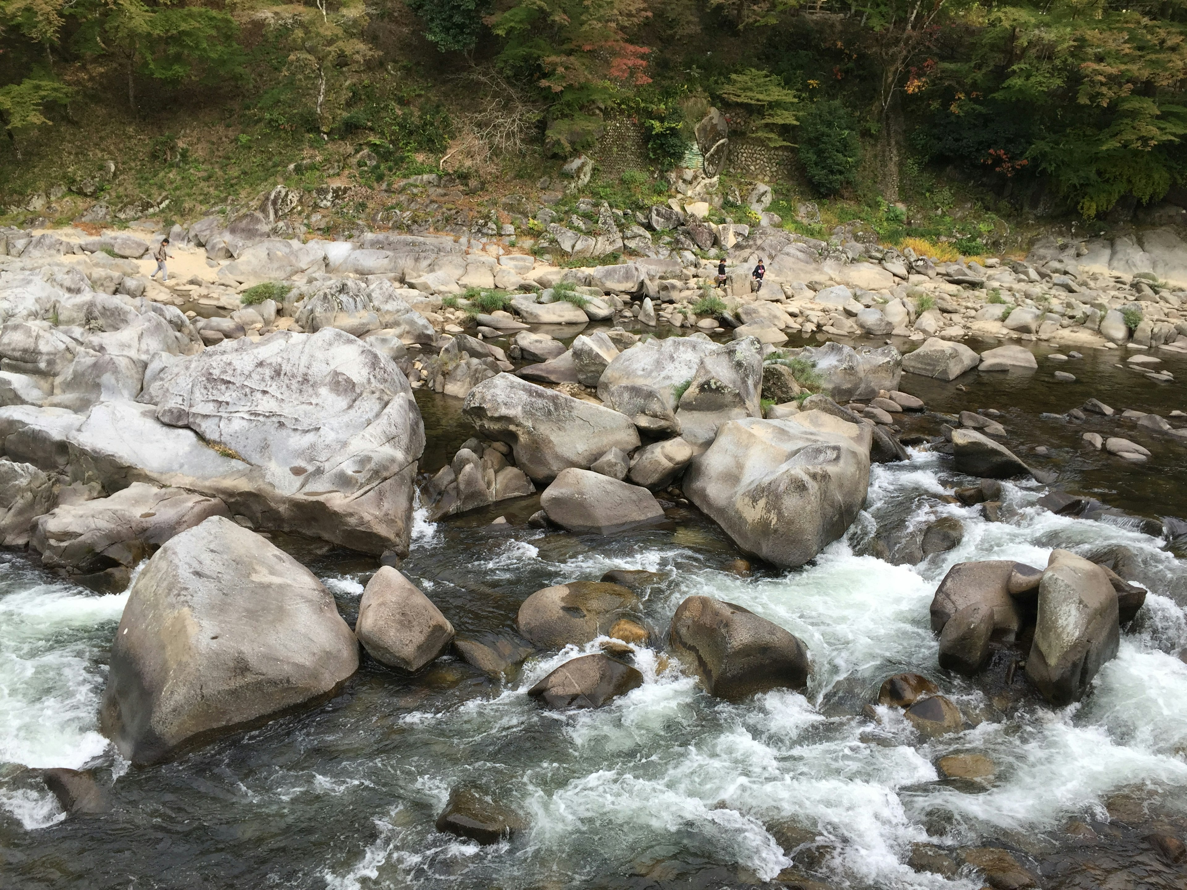 Ein Fluss mit fließendem Wasser und verstreuten Steinen, umgeben von grünen Bäumen