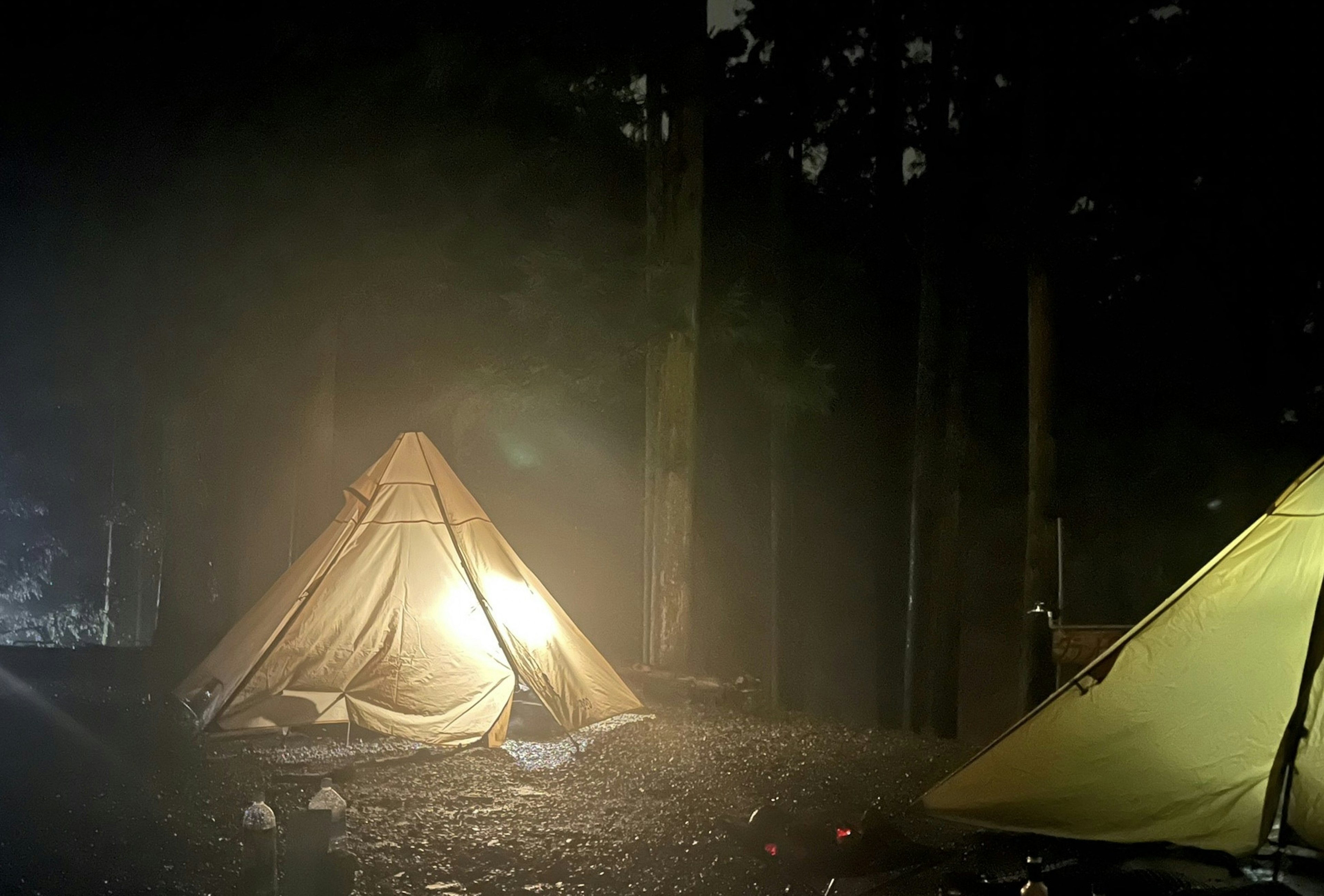 Tents illuminated in a misty forest at night