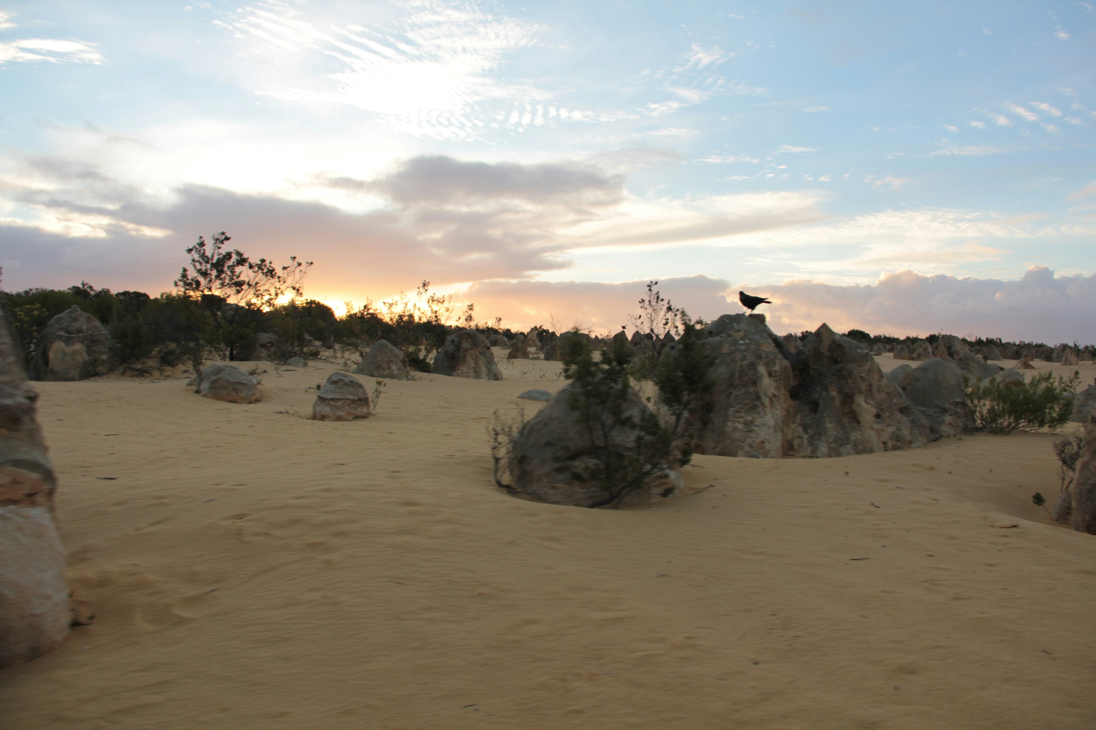 Desert landscape with unique rock formations and sunset sky