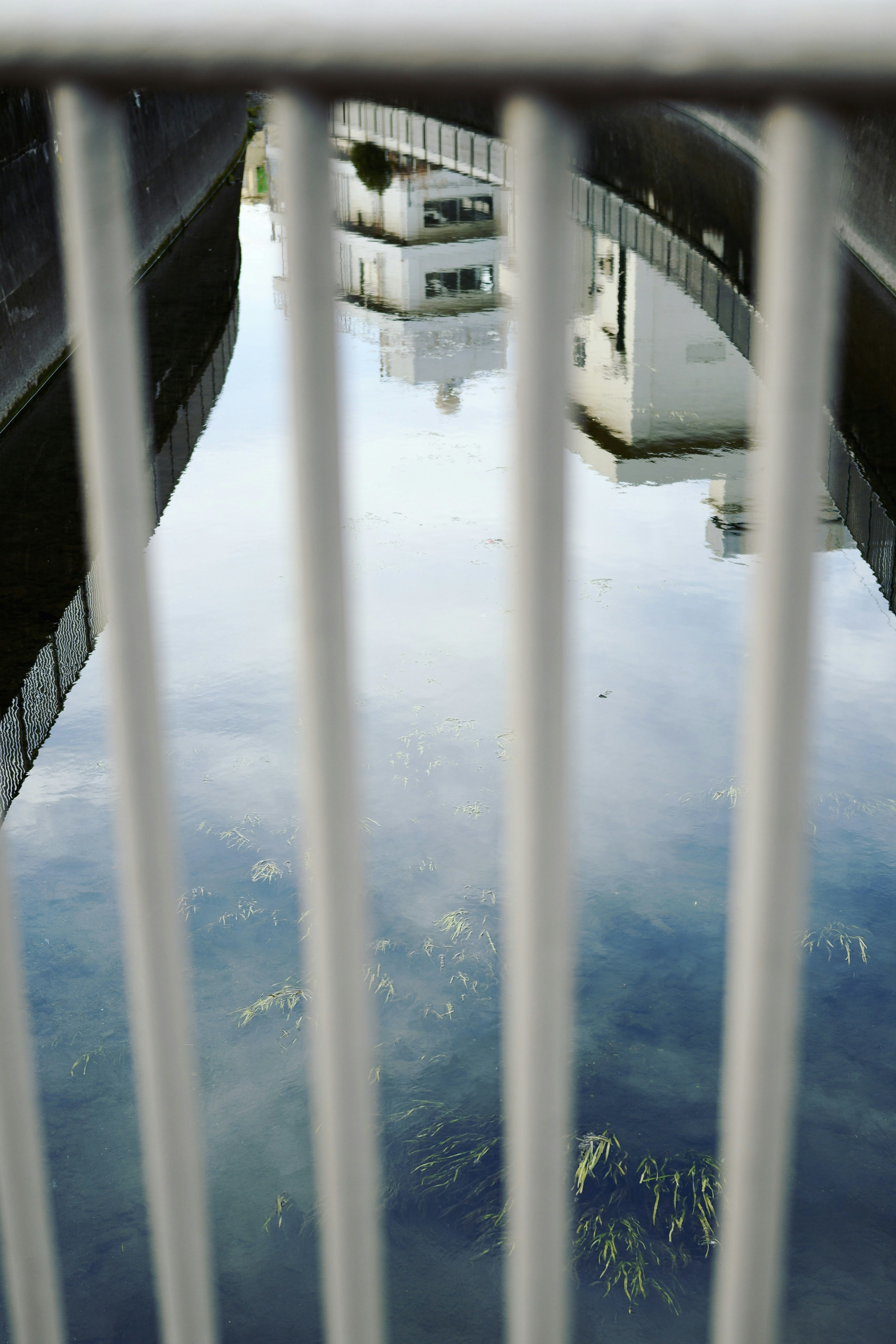 Riflessione di edifici sull'acqua con una recinzione in primo piano