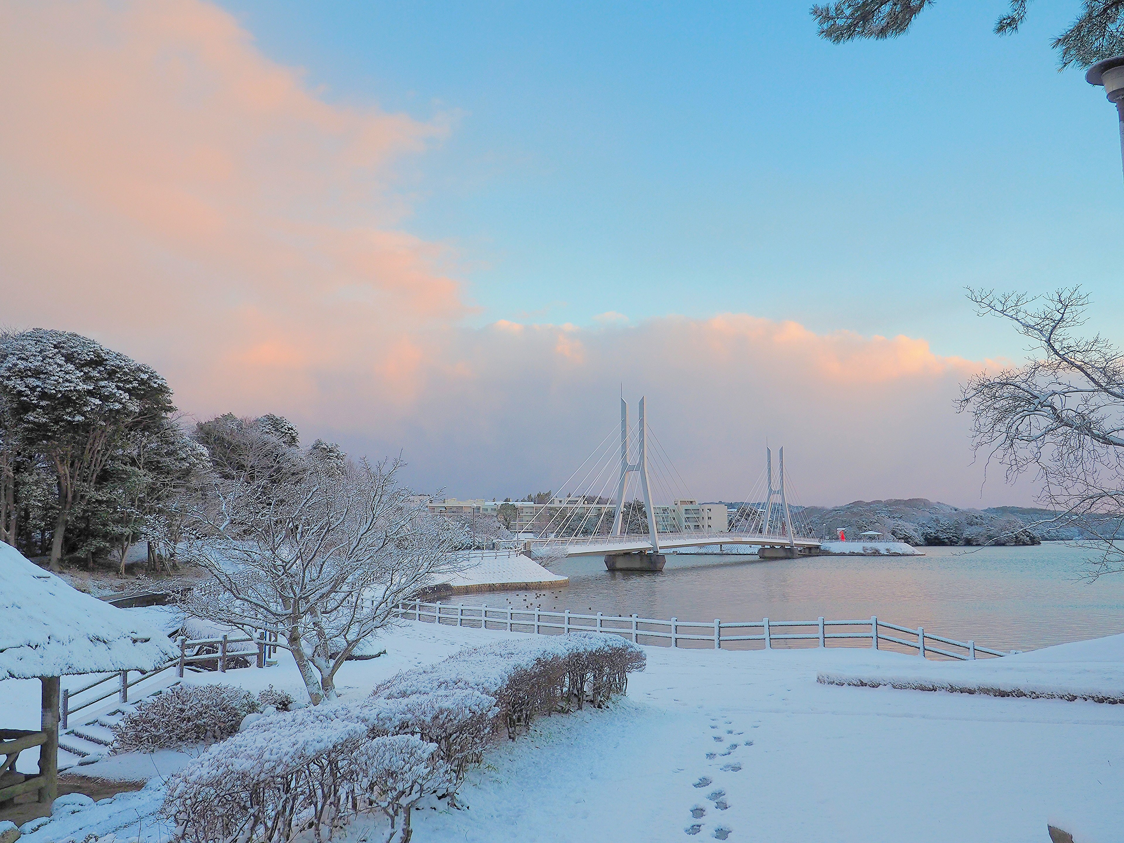 Paysage d'hiver serein avec un lac enneigé et des nuages roses