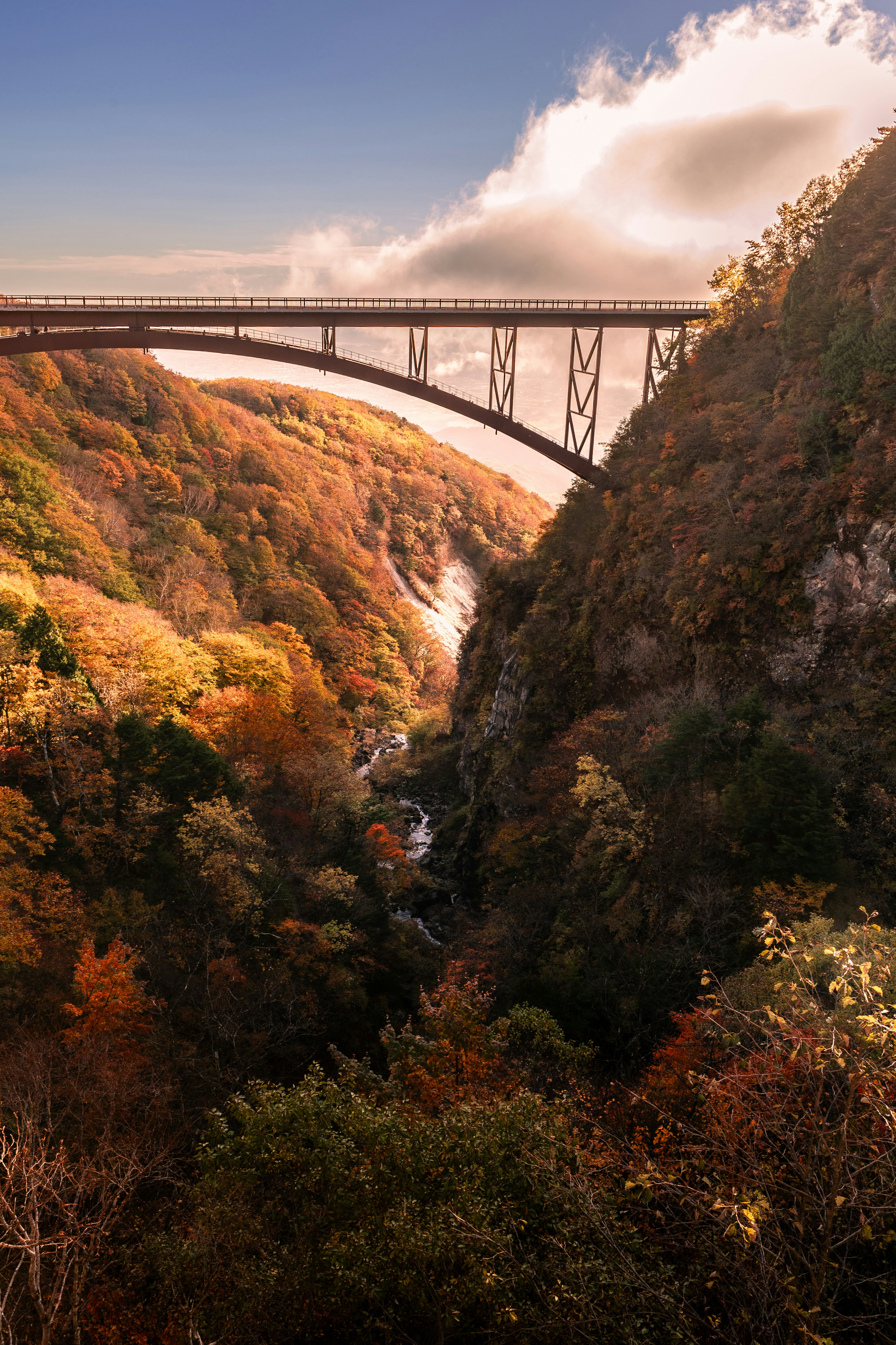 秋の色彩に包まれた峡谷と高架橋の美しい風景