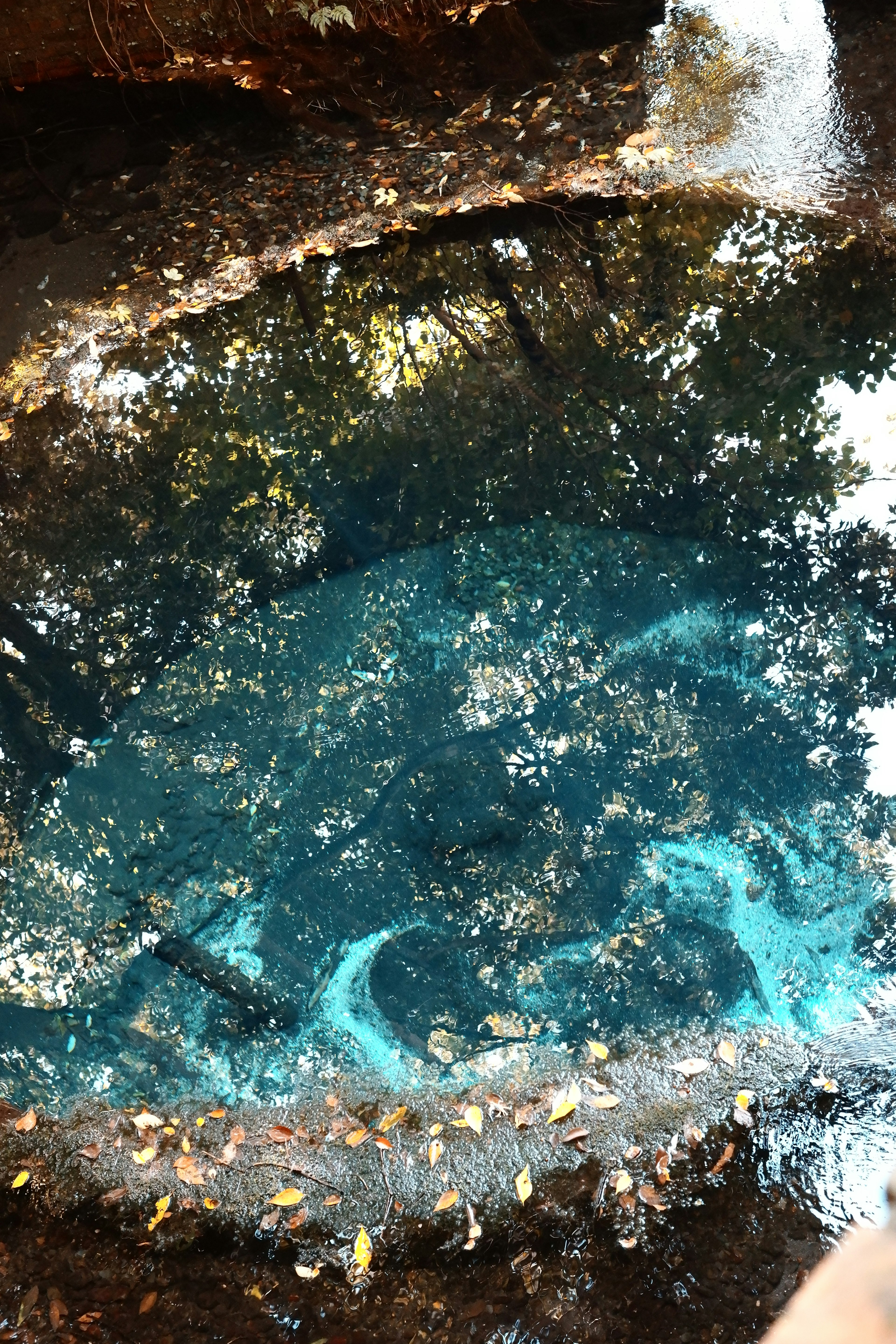 Clear blue water pool surrounded by natural scenery