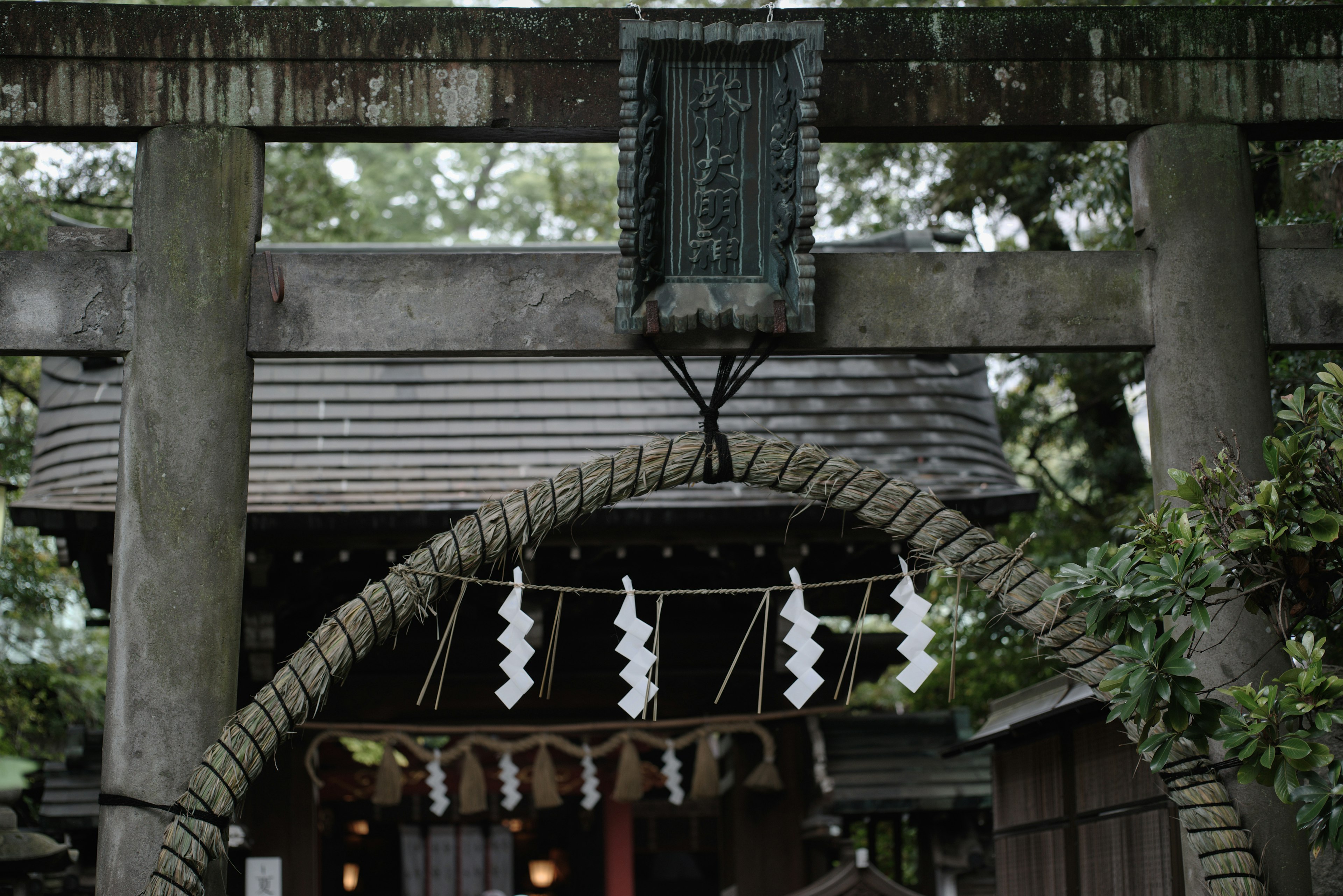 Eine ruhige Ansicht mit einem Torii eines Schreins und einem heiligen Seil