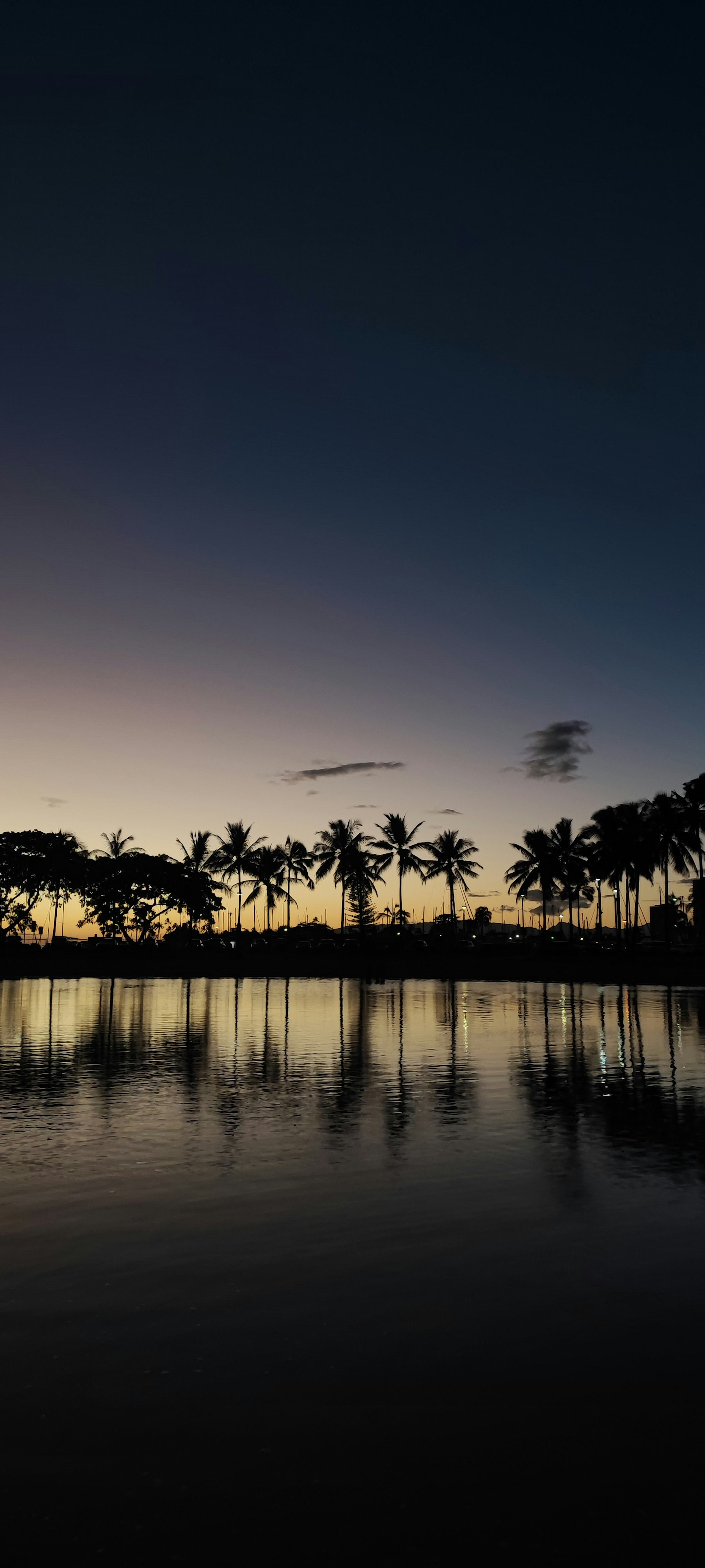 Silueta de palmeras reflejadas en agua tranquila durante el atardecer