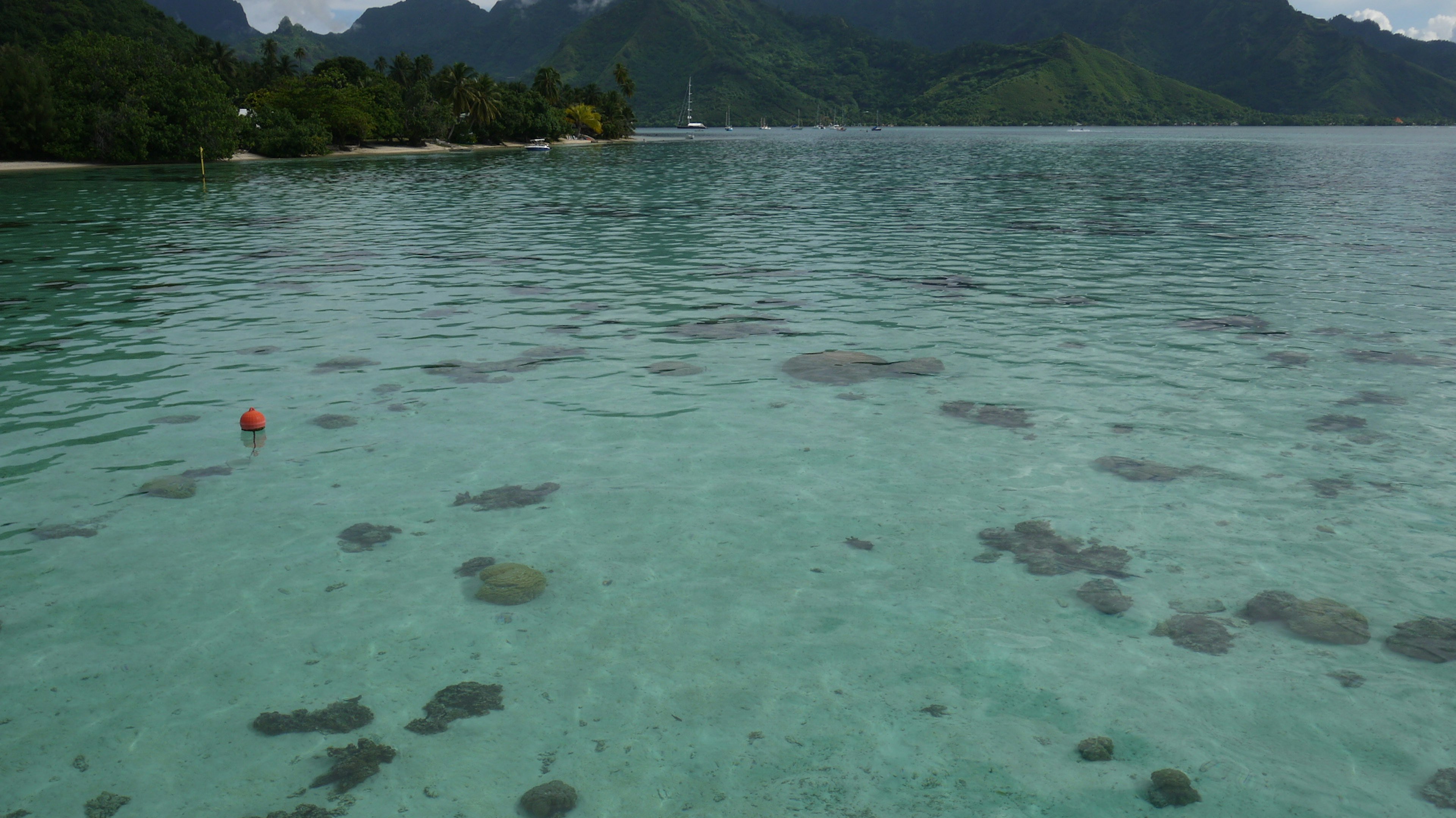 Crystal clear water revealing coral reefs with a red buoy floating