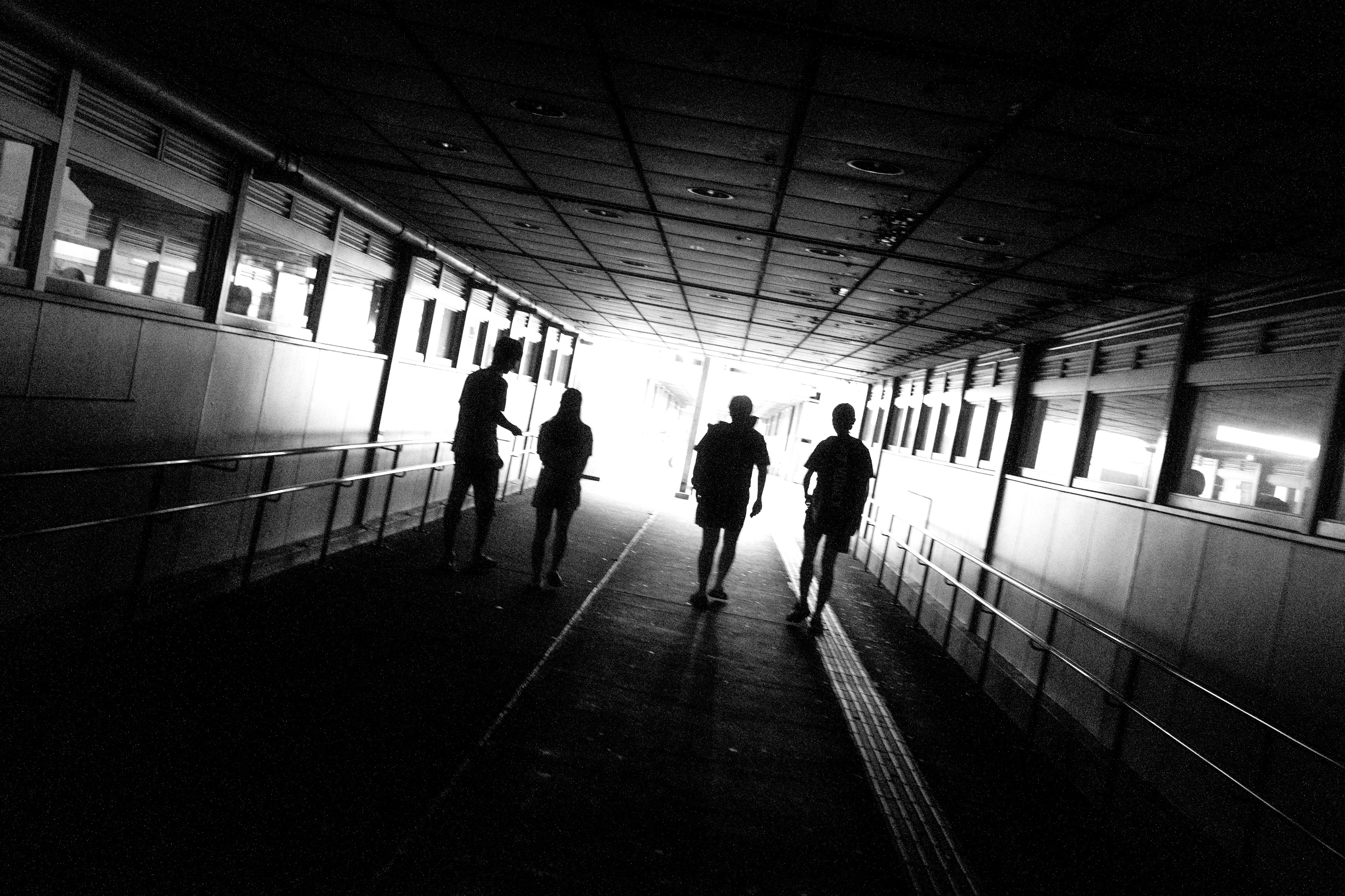 Silhouettes of people walking towards bright light in a monochrome photo