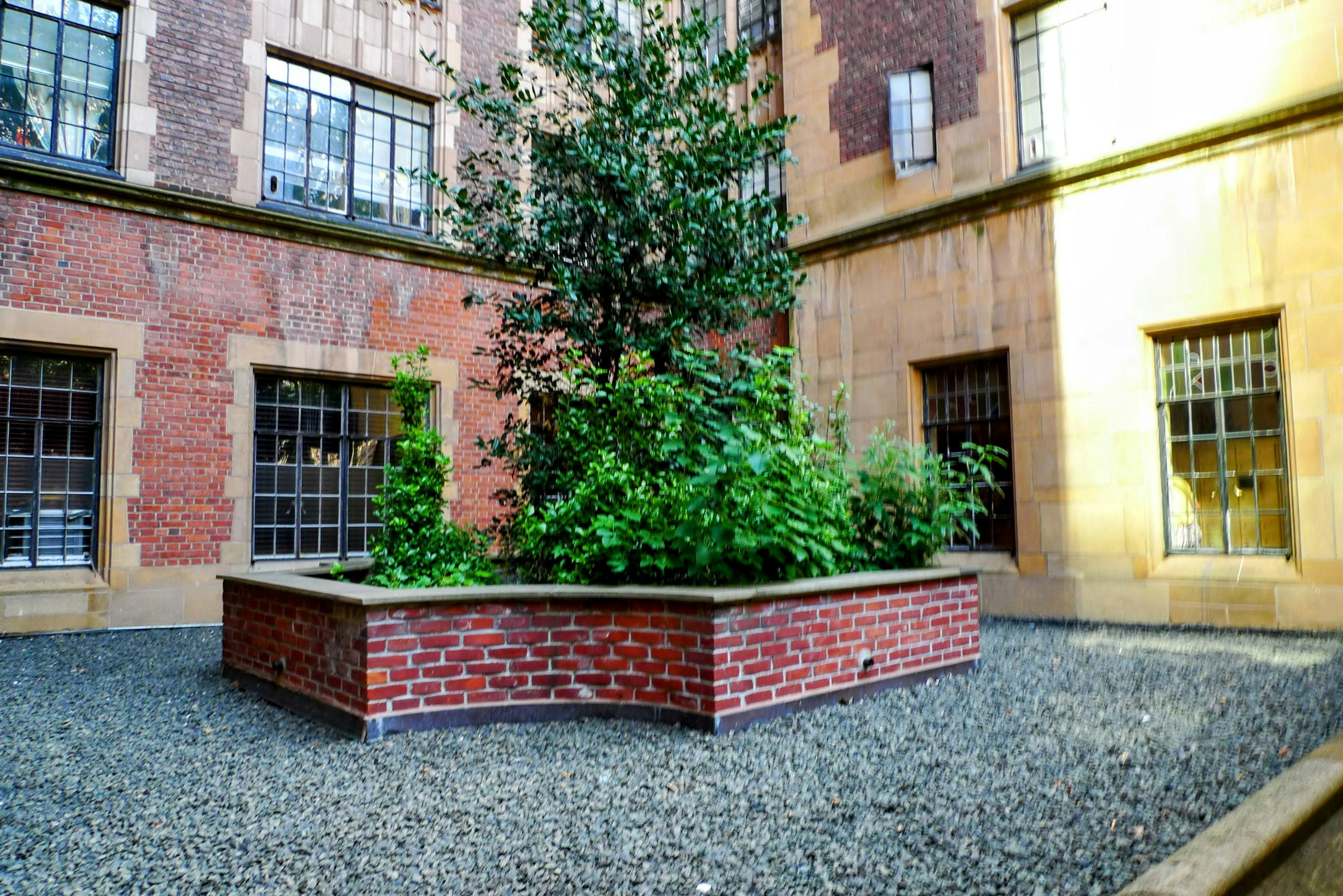 Lush greenery in a brick planter surrounded by historic architecture