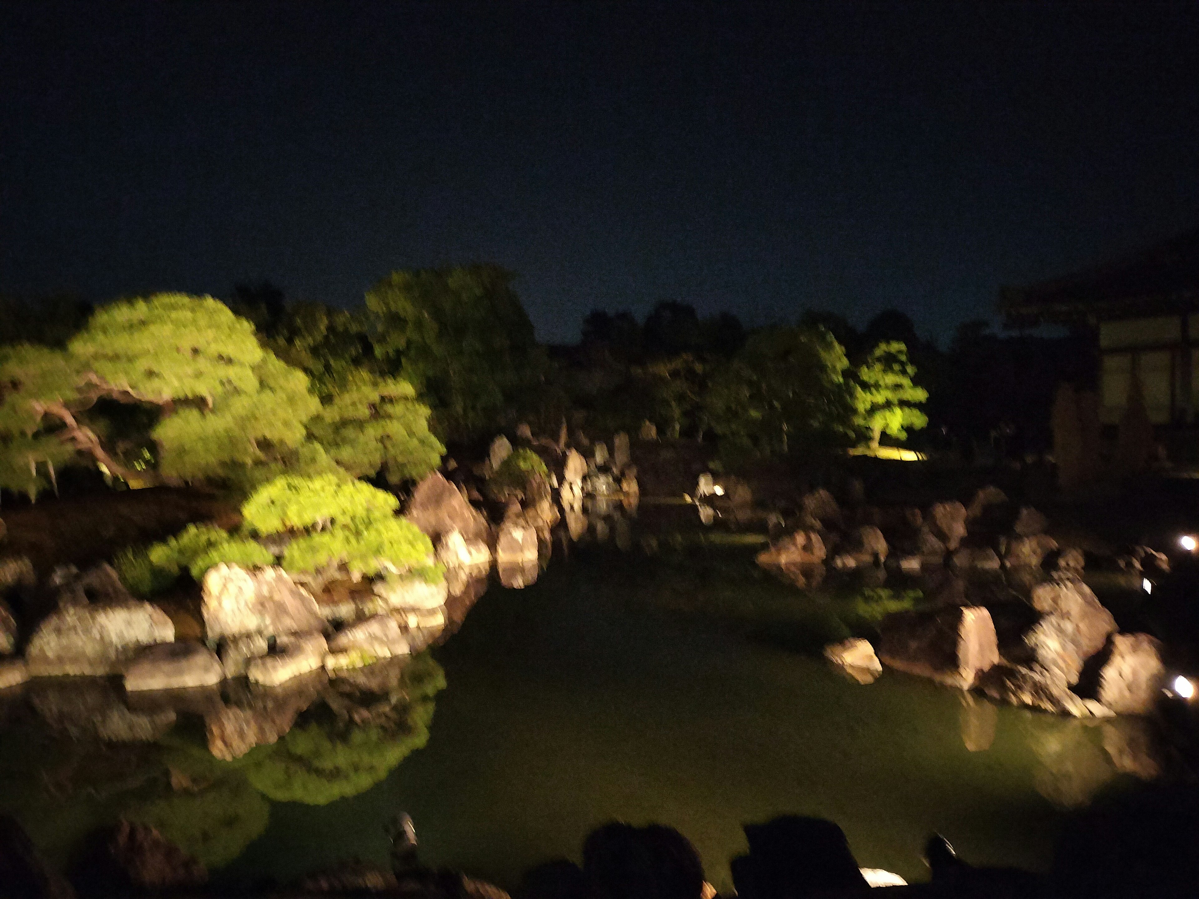 Nighttime garden scene with a pond and rocks