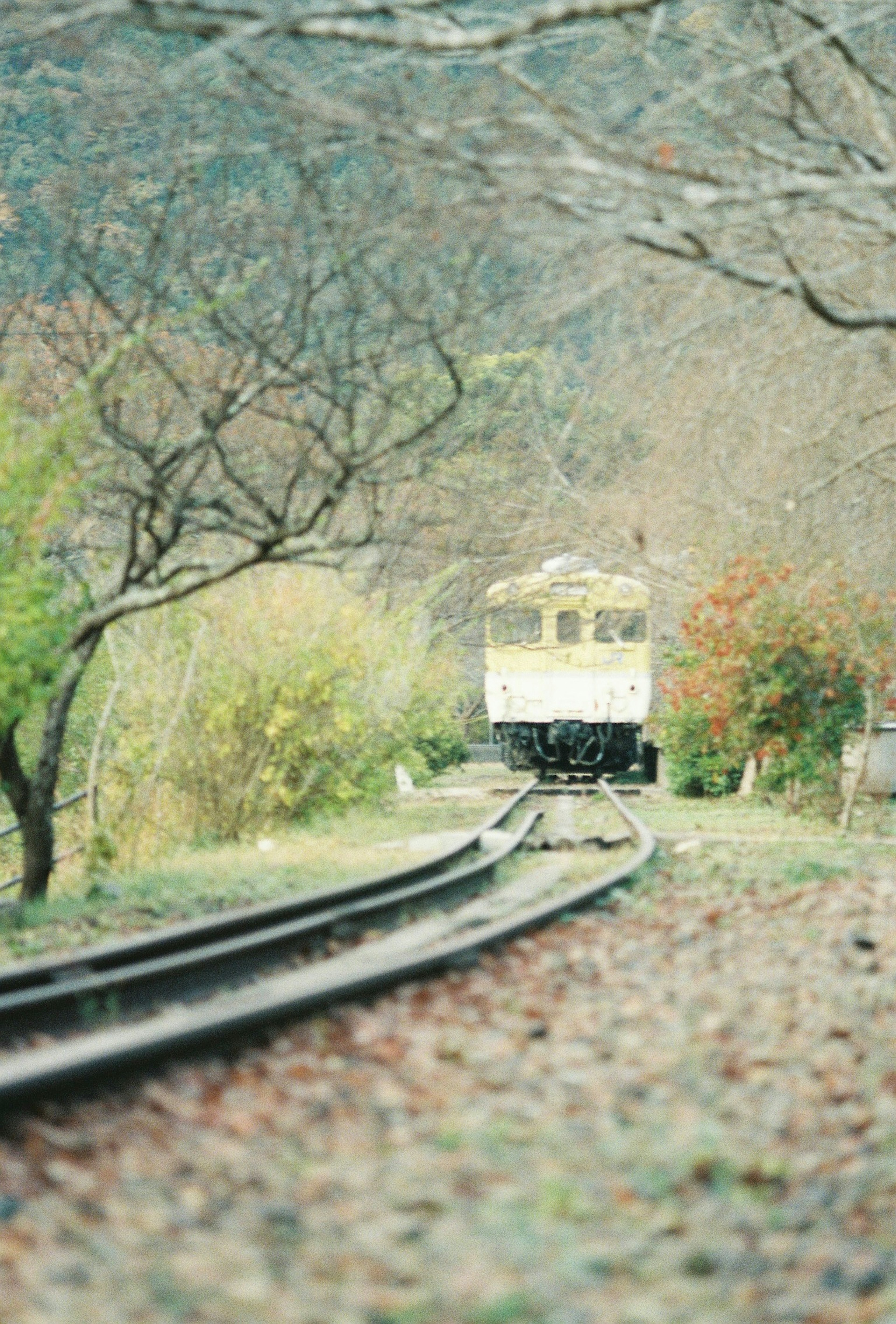 線路に沿って進む電車と周囲の木々