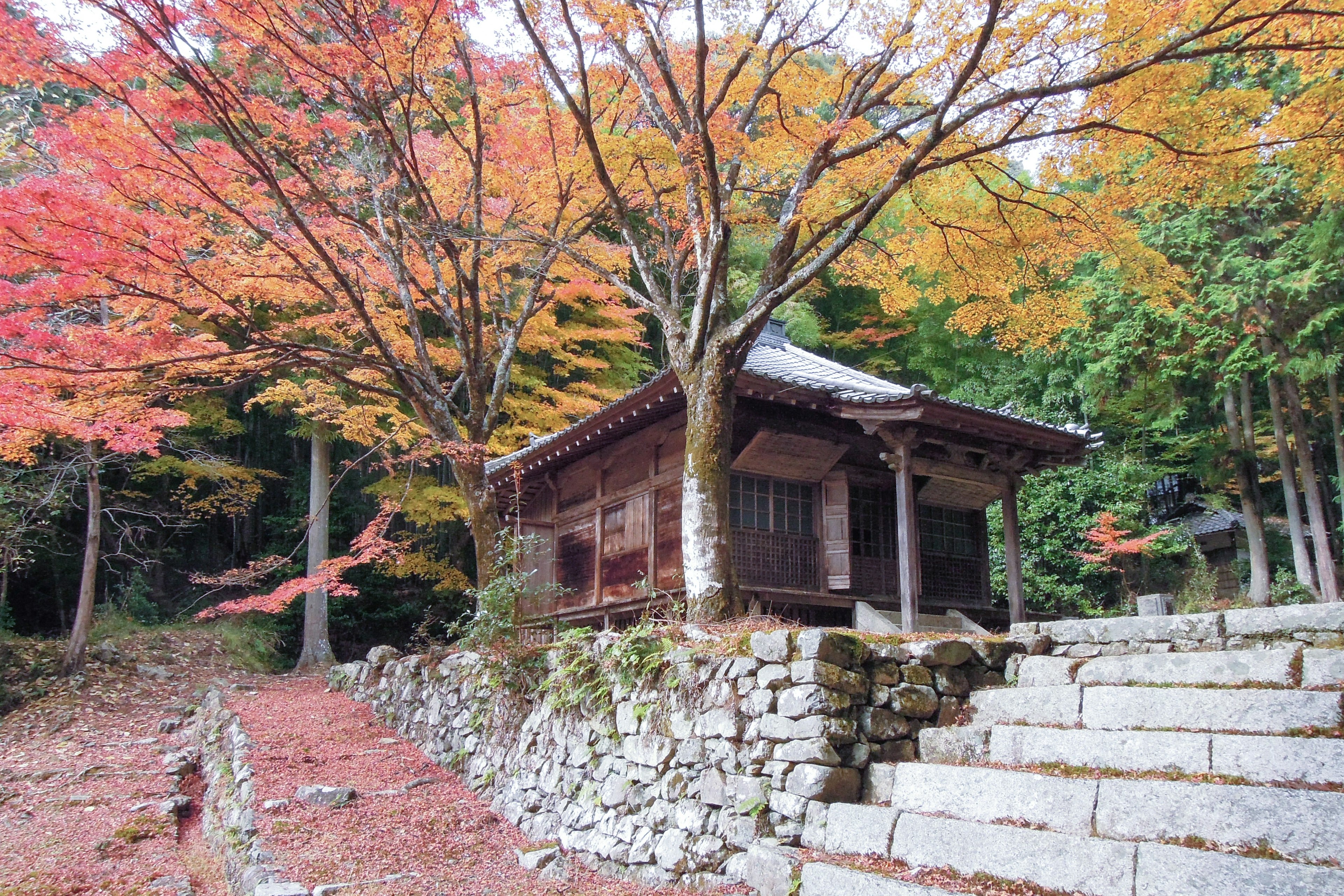 Bâtiment traditionnel japonais entouré de feuilles d'automne et de marches en pierre