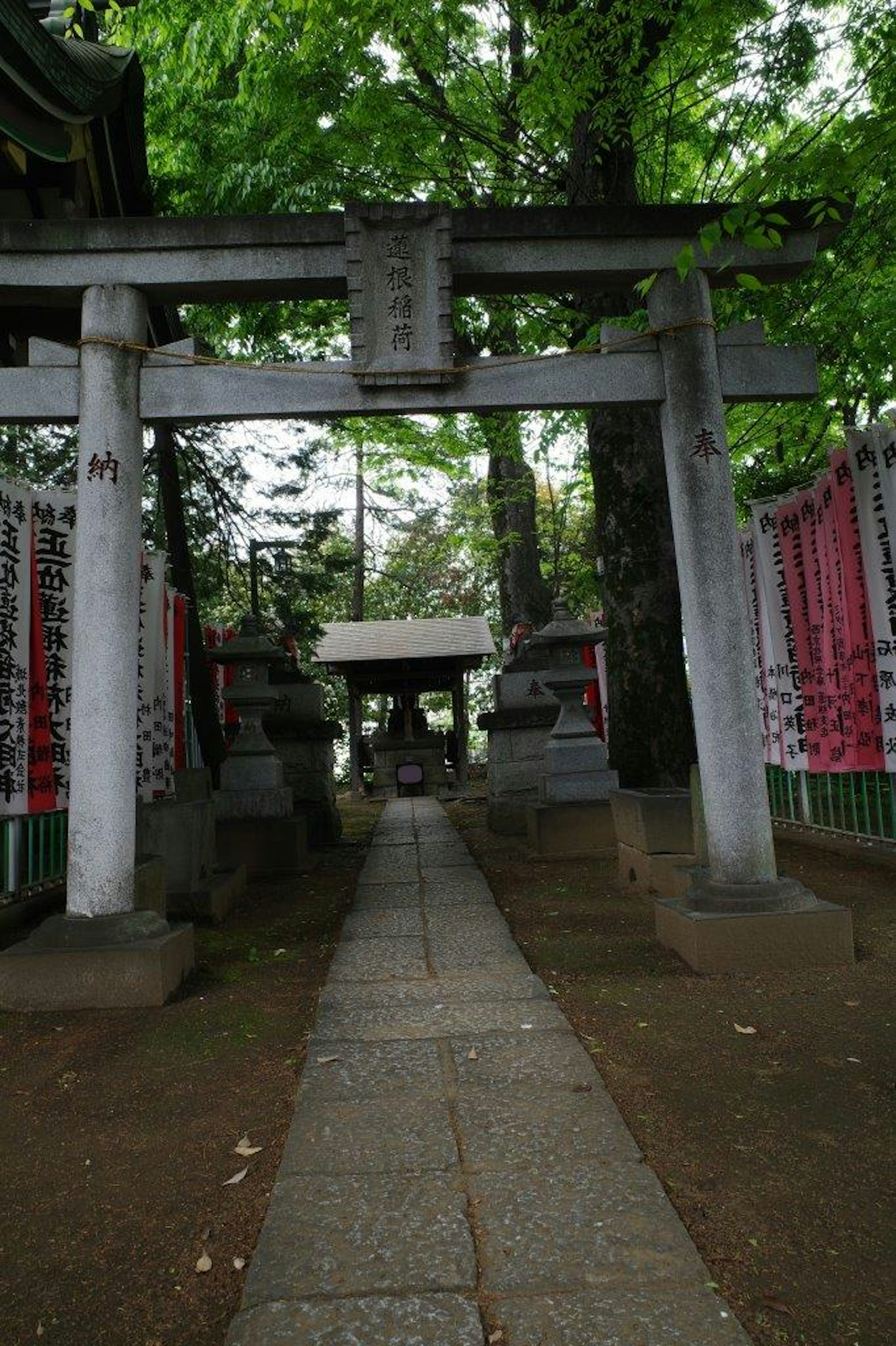 緑の木々に囲まれた神社の鳥居と石の小道