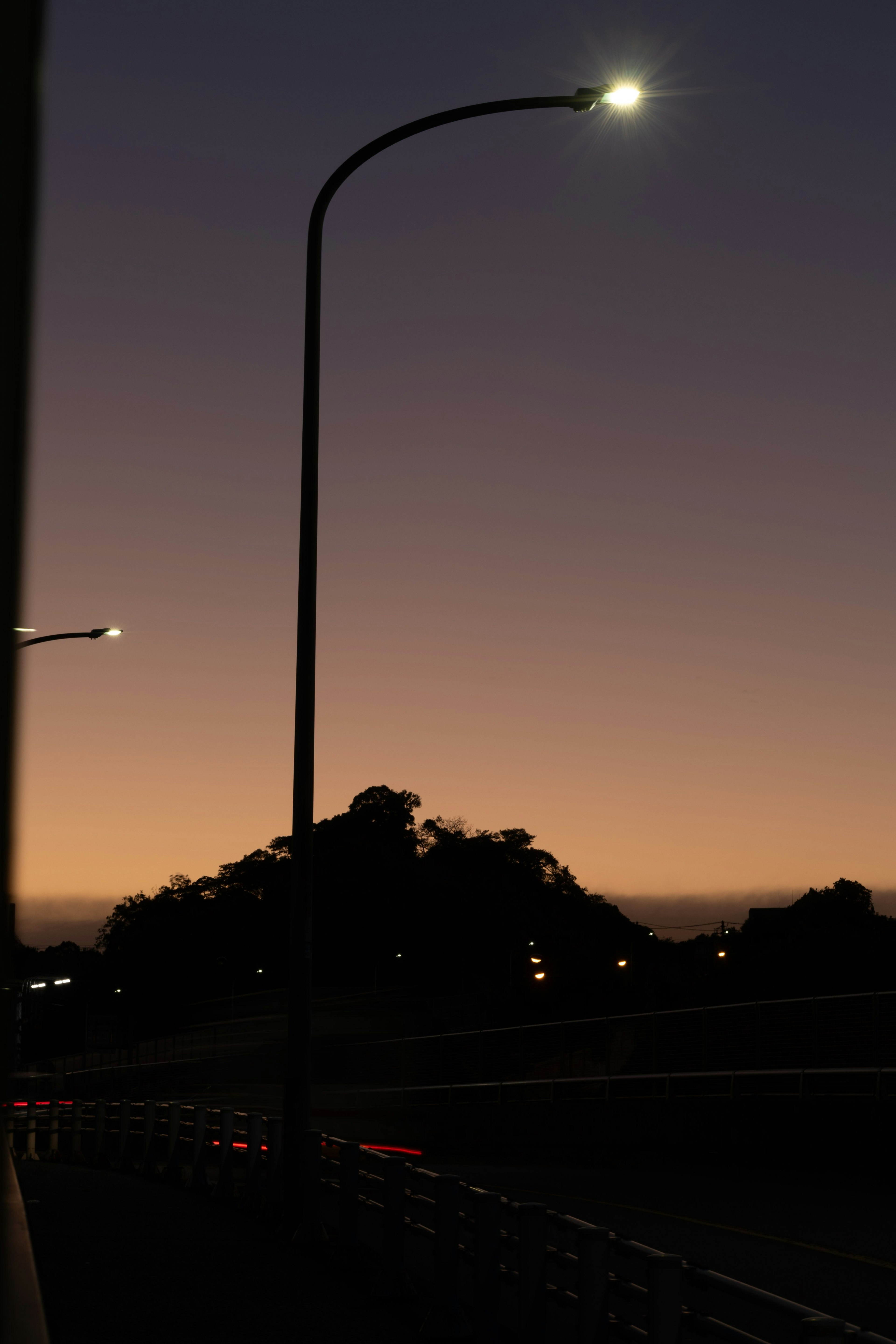 夕暮れ時の街灯とシルエットの木々が見える風景