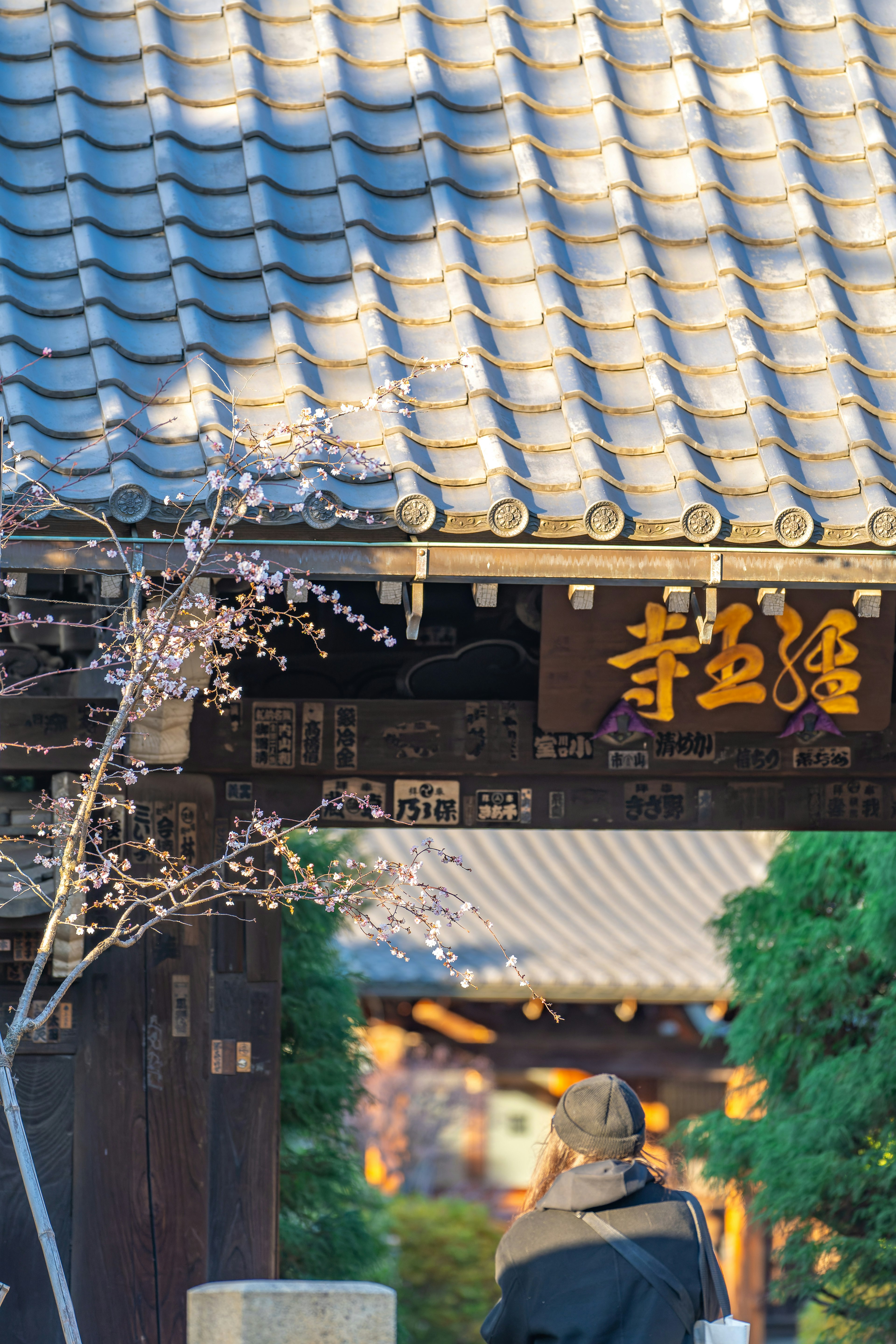 A woman standing at the temple entrance with cherry blossoms visible