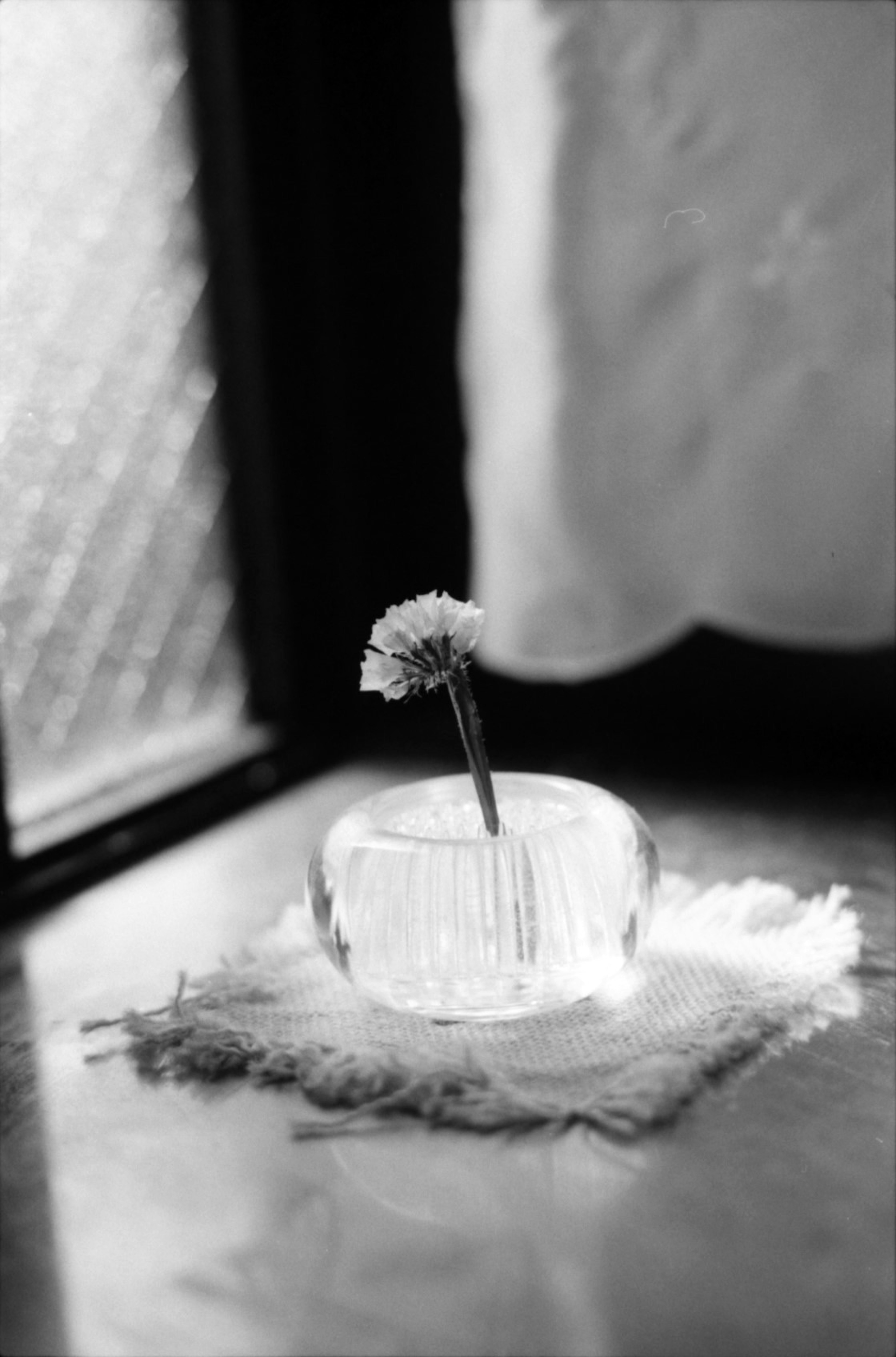 Image en noir et blanc d'un vase transparent avec une seule fleur