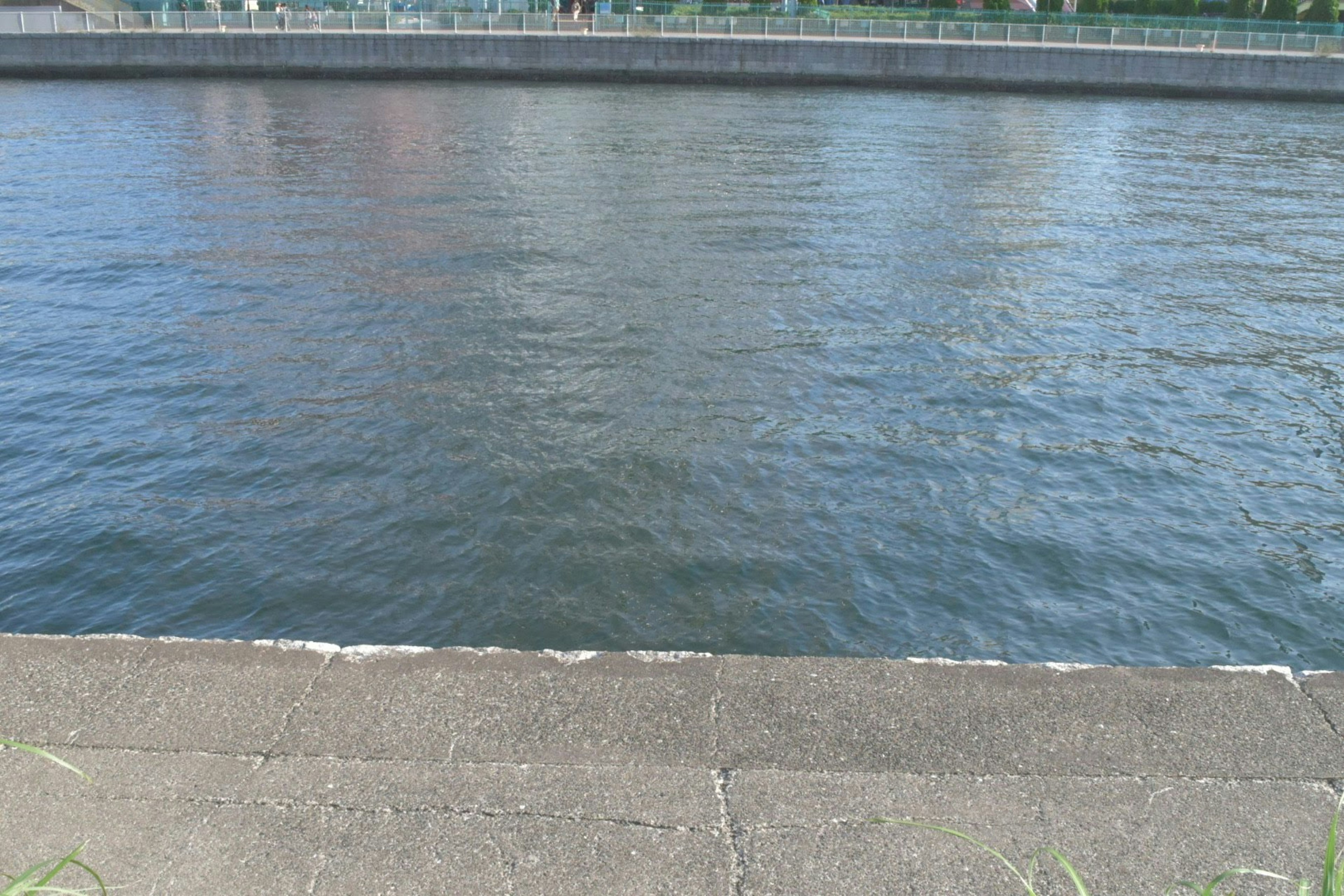 Surface de rivière calme avec berge en béton visible