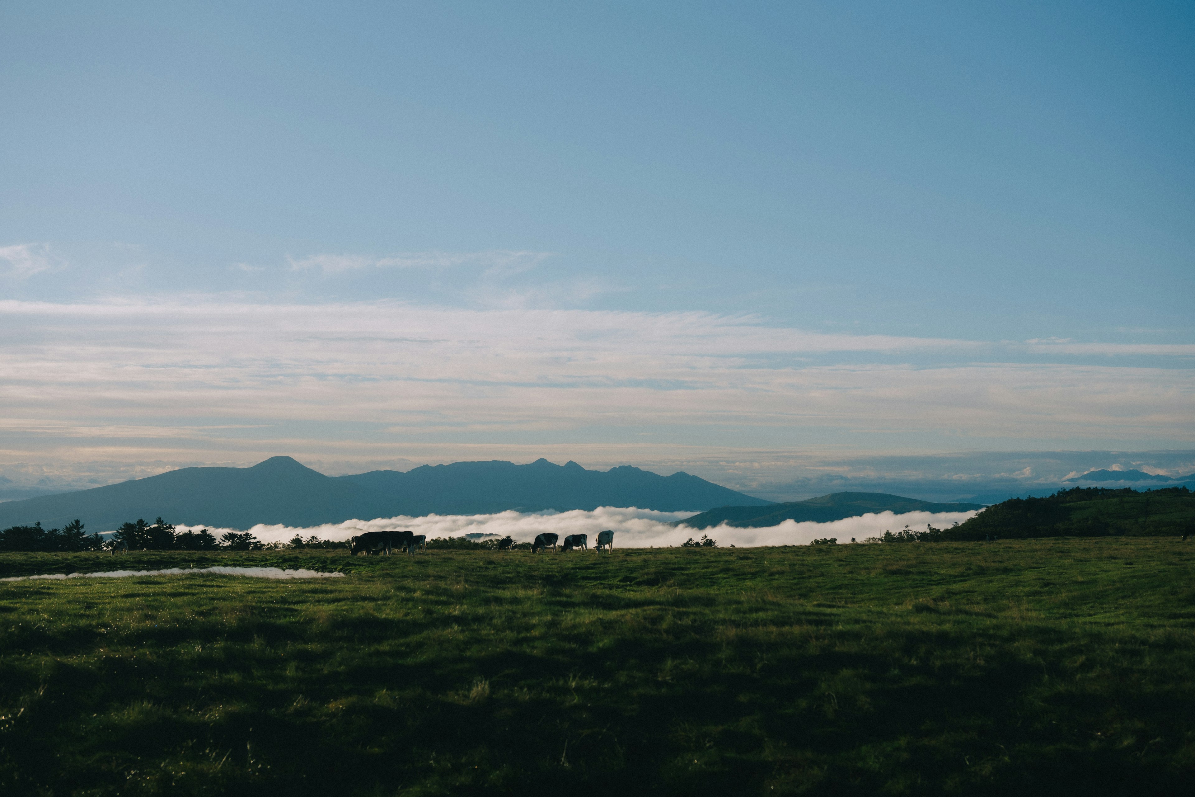 Paysage vert vaste avec des montagnes et des nuages sous un ciel bleu