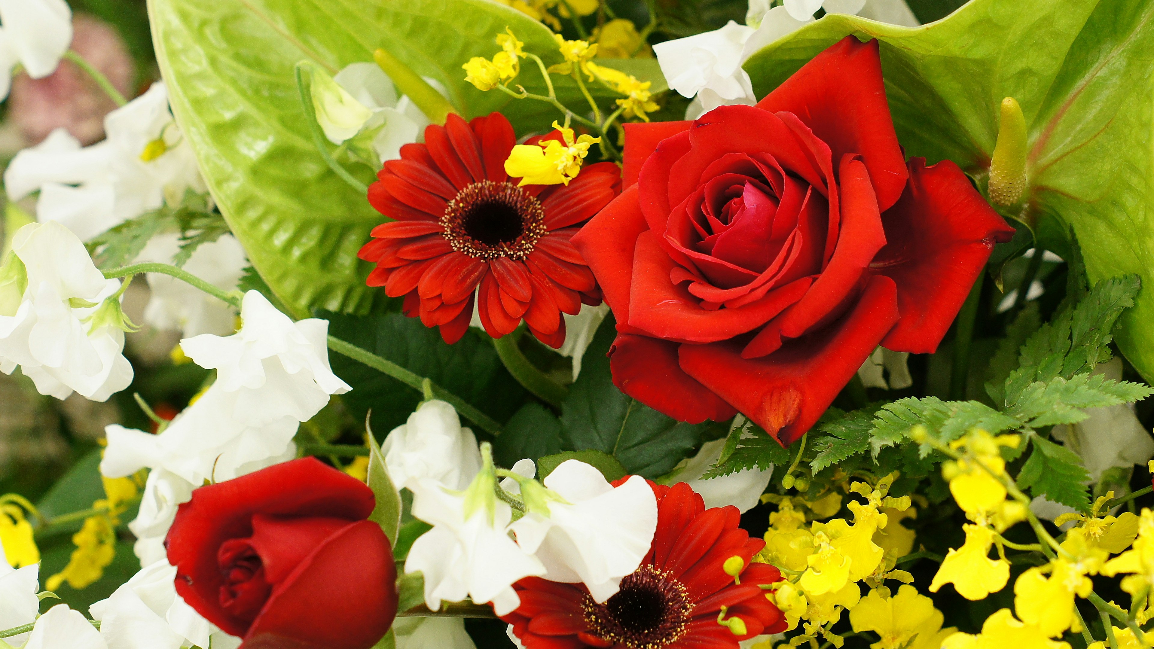 Un bellissimo bouquet con rose rosse e fiori bianchi