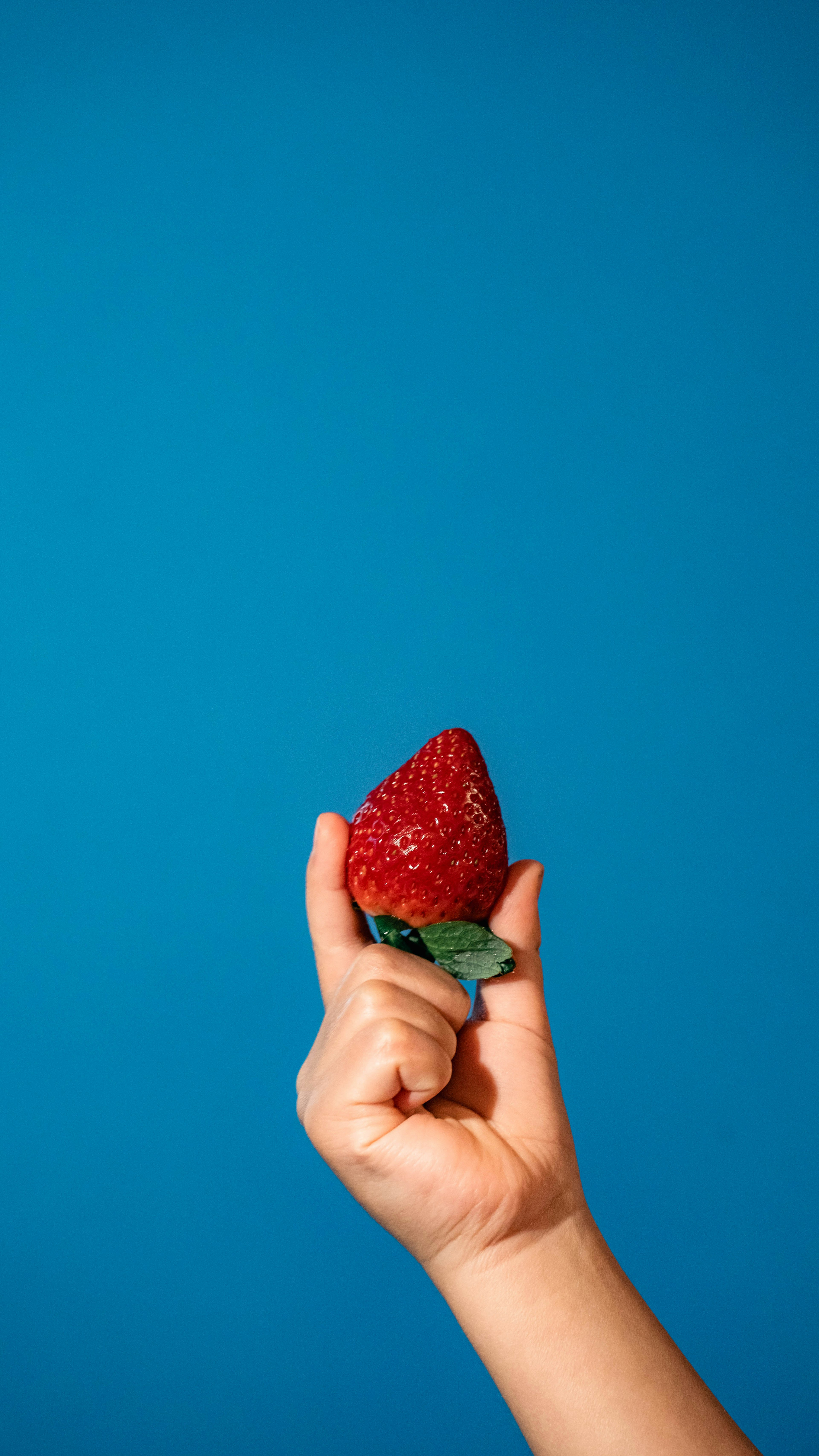 Hand hält eine Erdbeere vor blauem Hintergrund